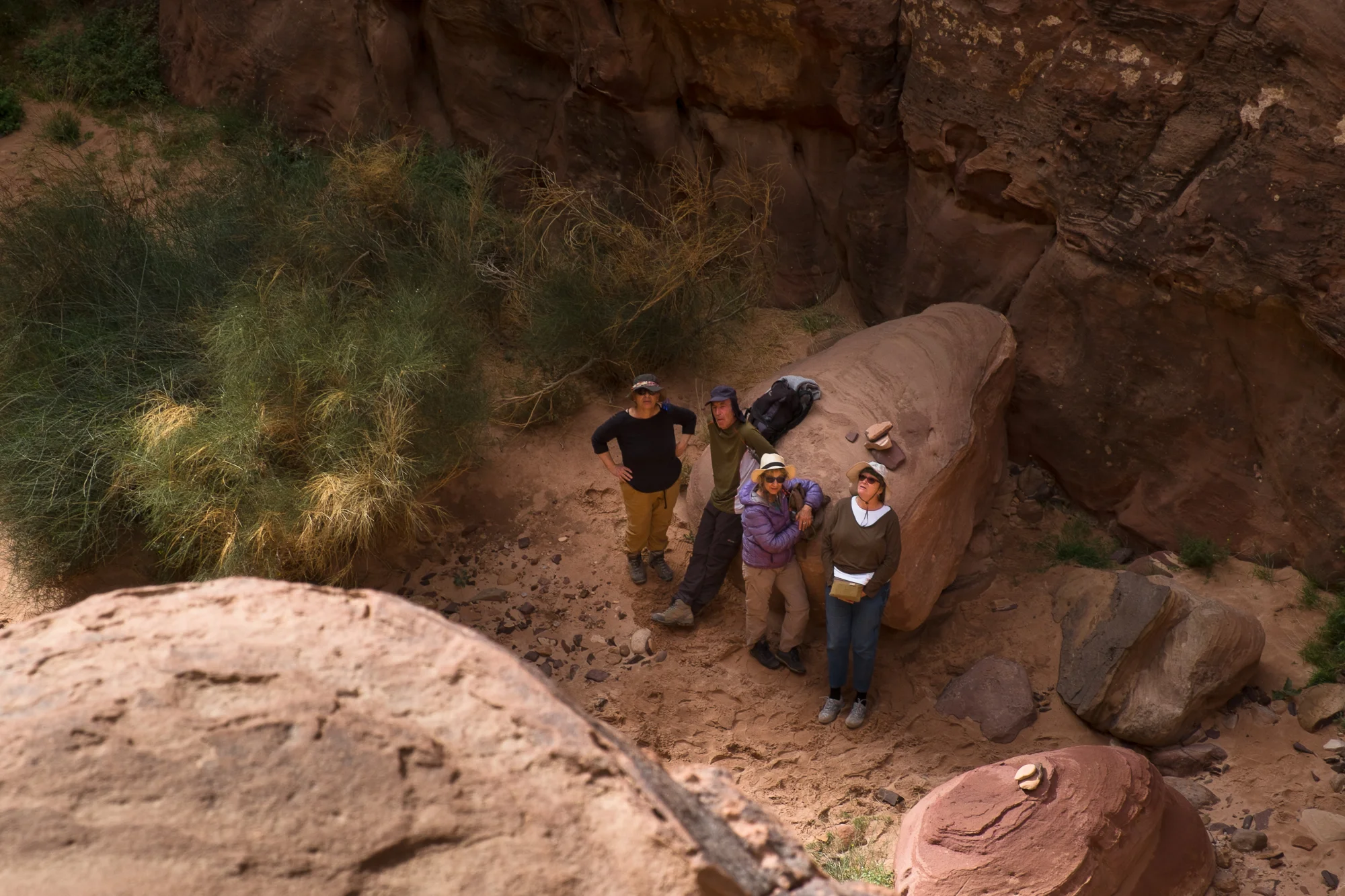 my desert site-9540.jpg