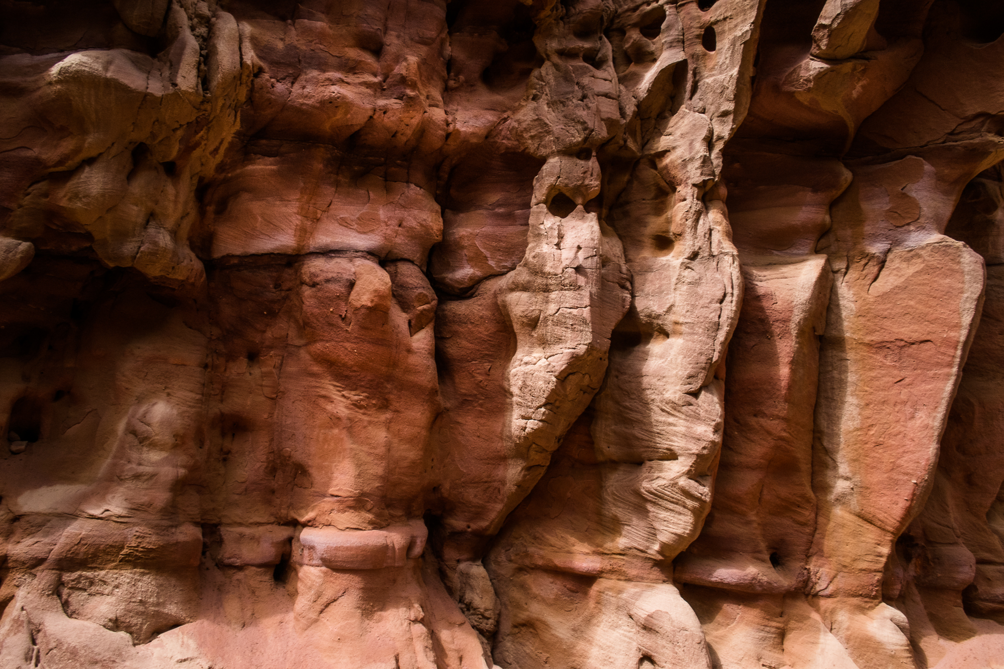 my desert site-9577.jpg