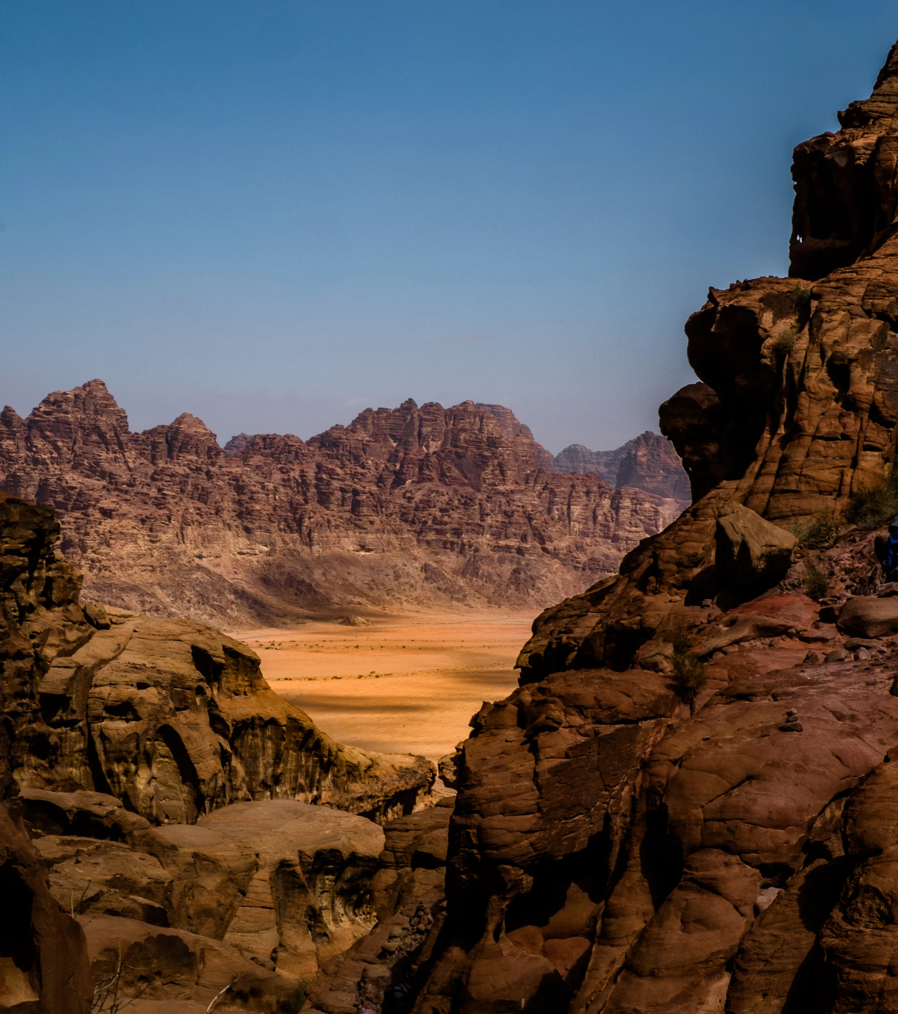 my desert site-9581.jpg