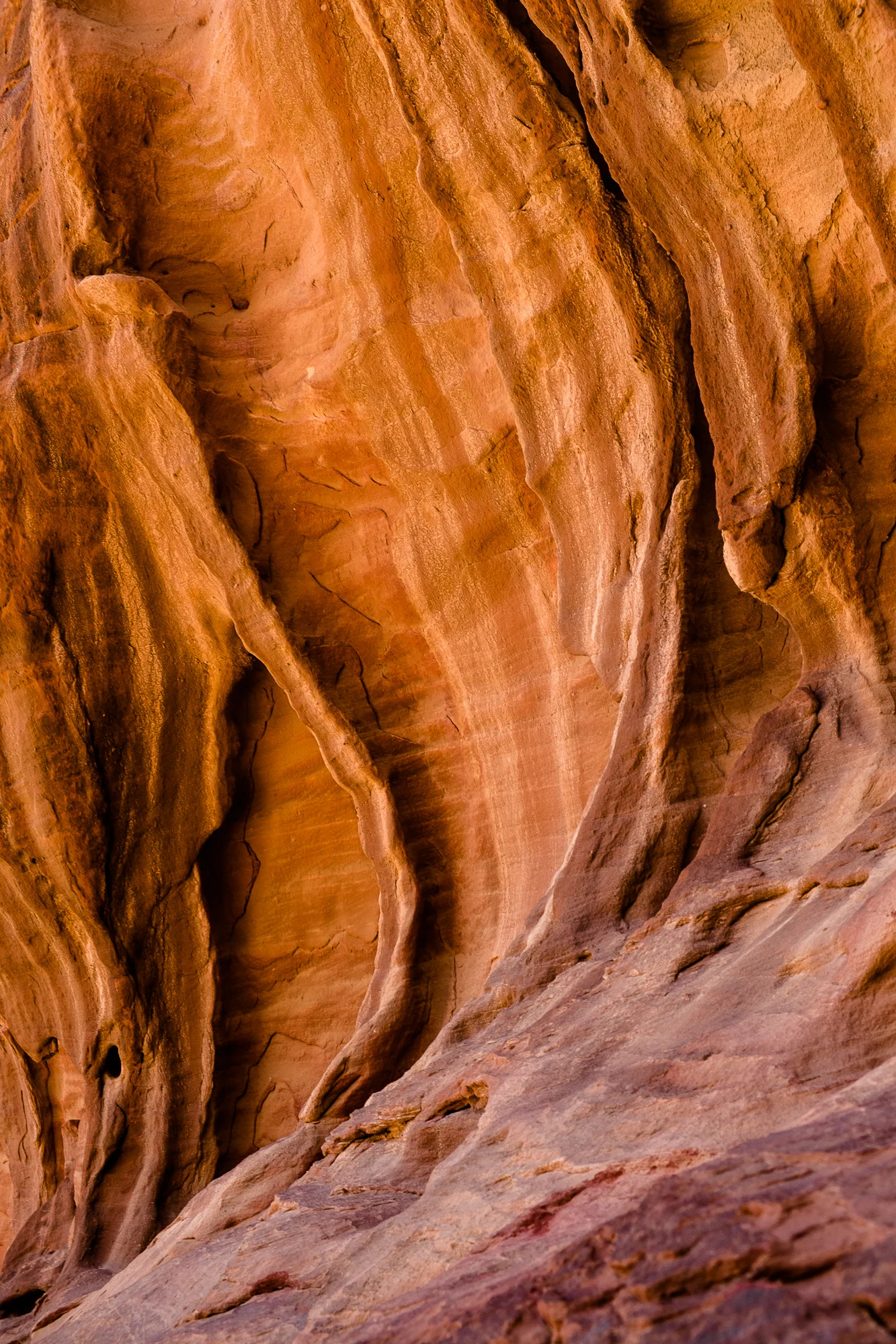 my desert site-9597.jpg