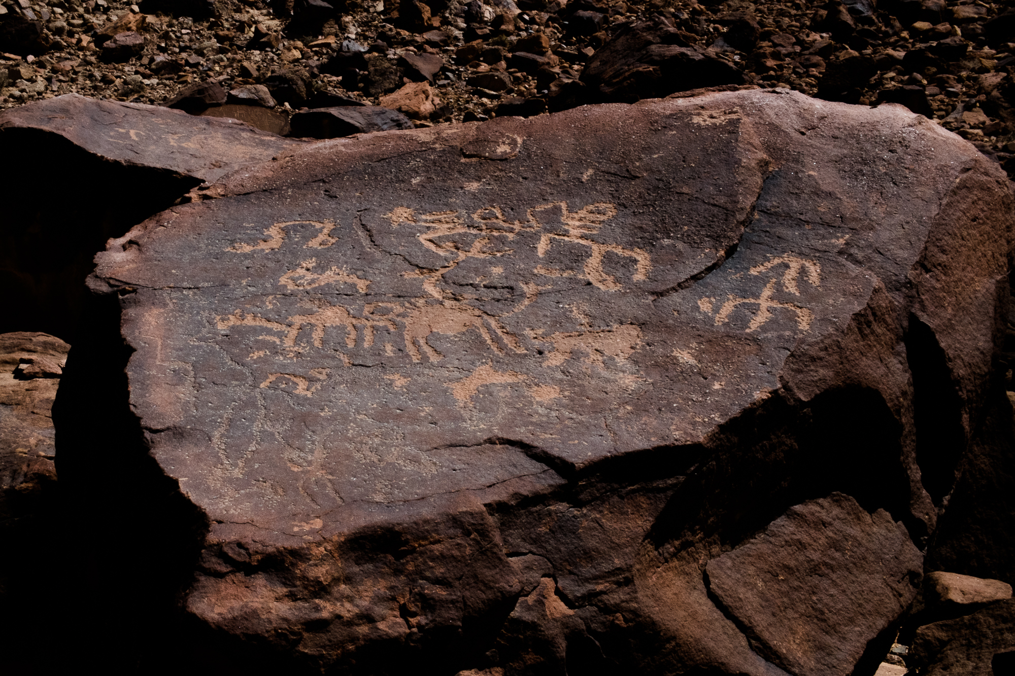 my desert site-9611.jpg