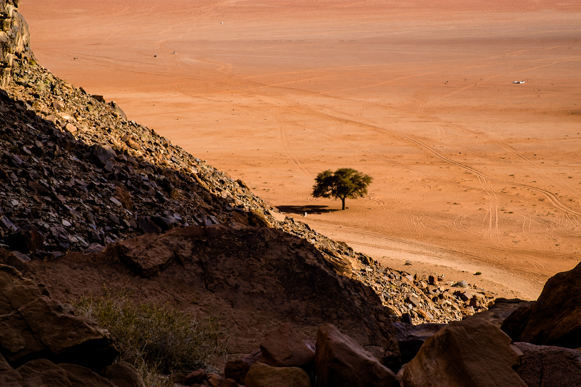 my desert site-9068.jpg
