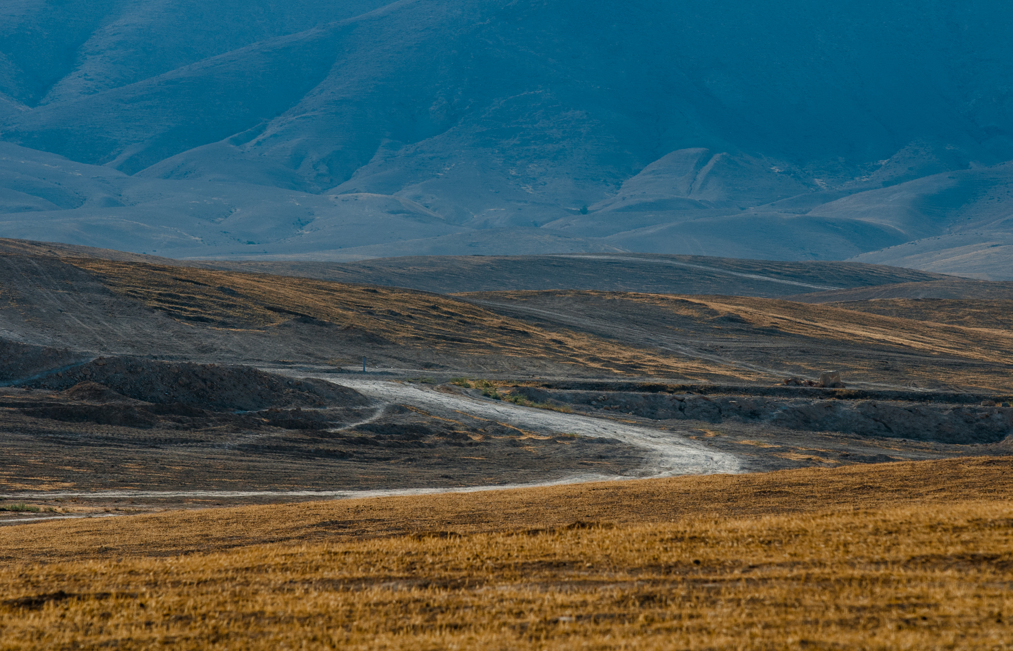 my desert site-8484-2.jpg