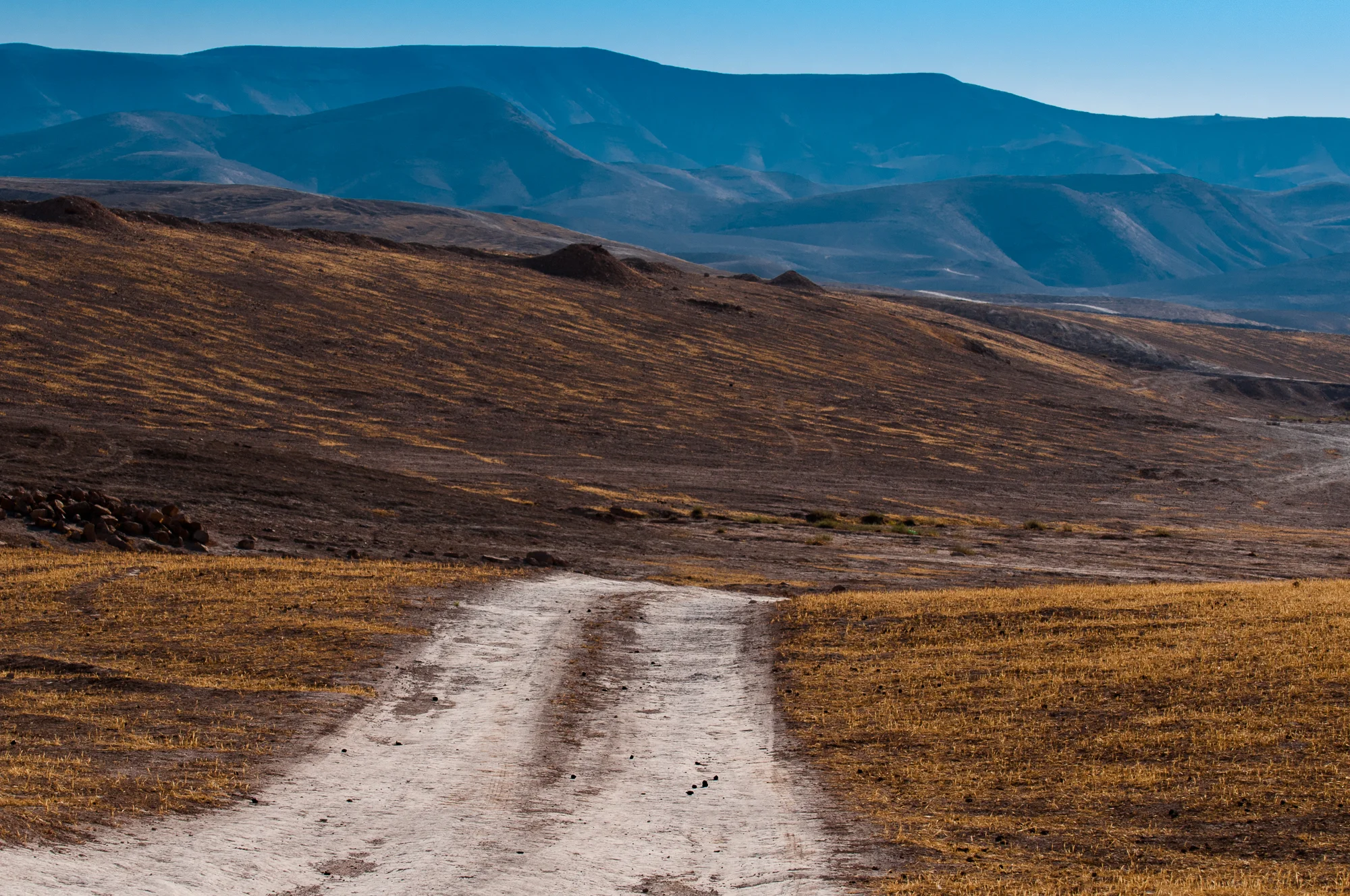 my desert site-8488.jpg