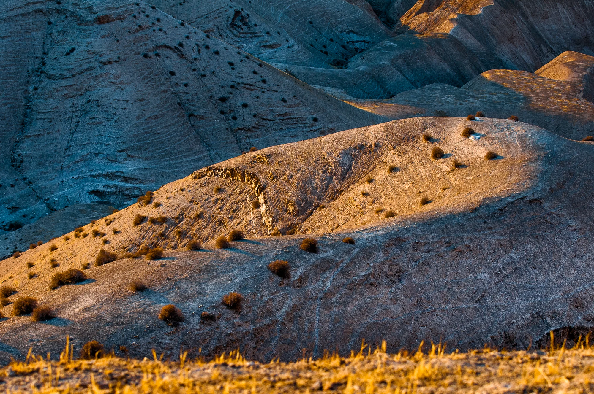 my desert site-8559.jpg