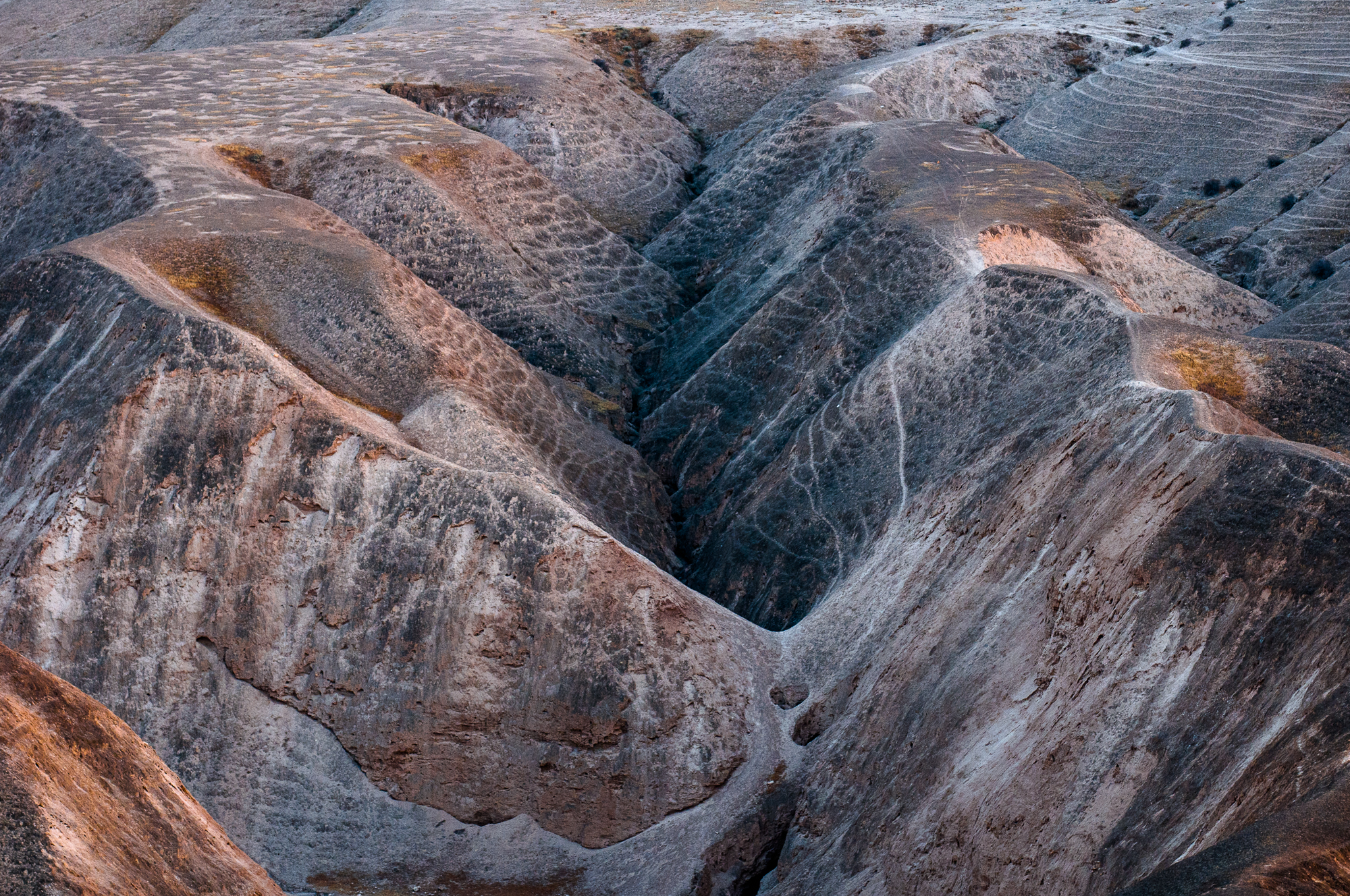 my desert site-8605.jpg