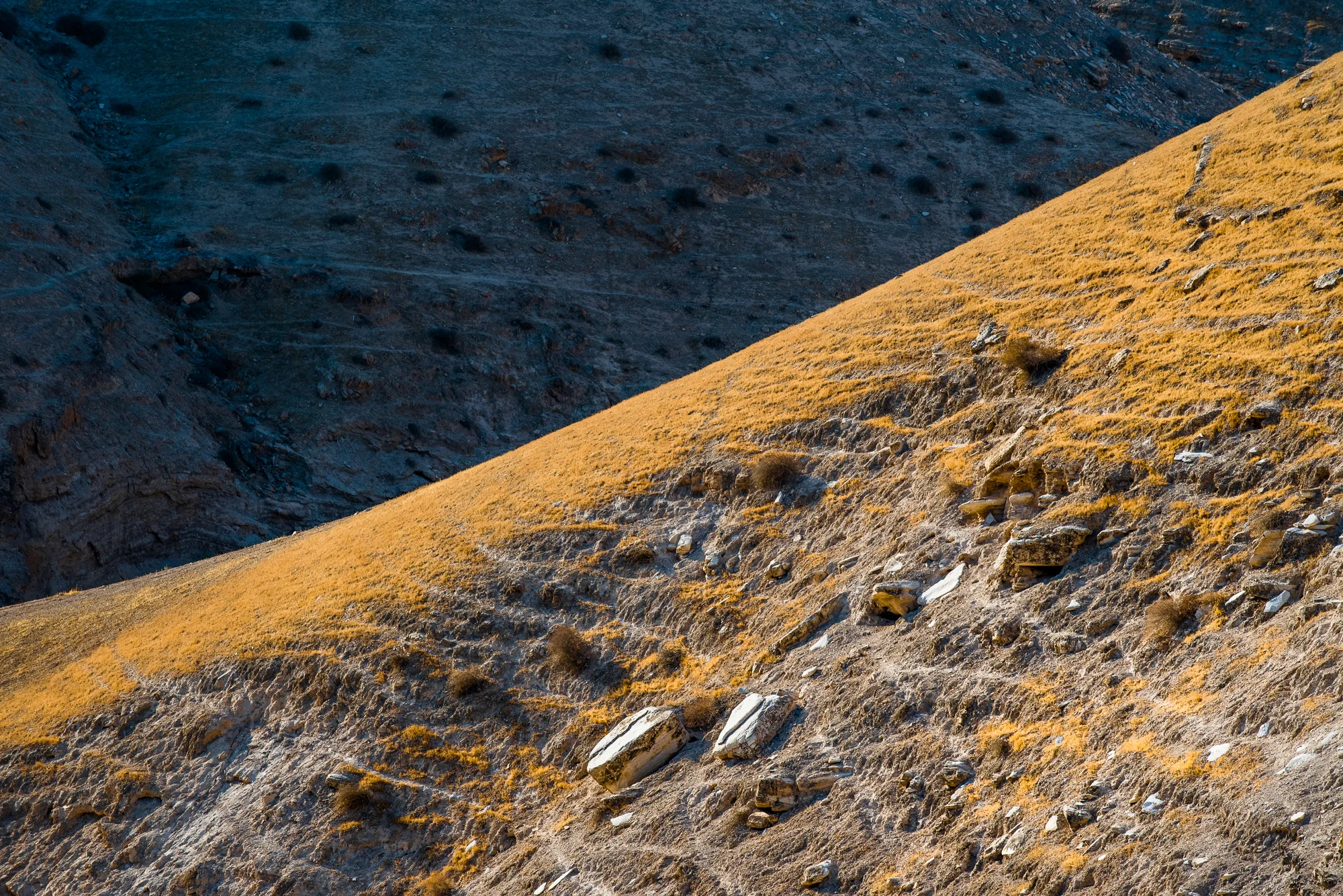 my desert site-0283.jpg