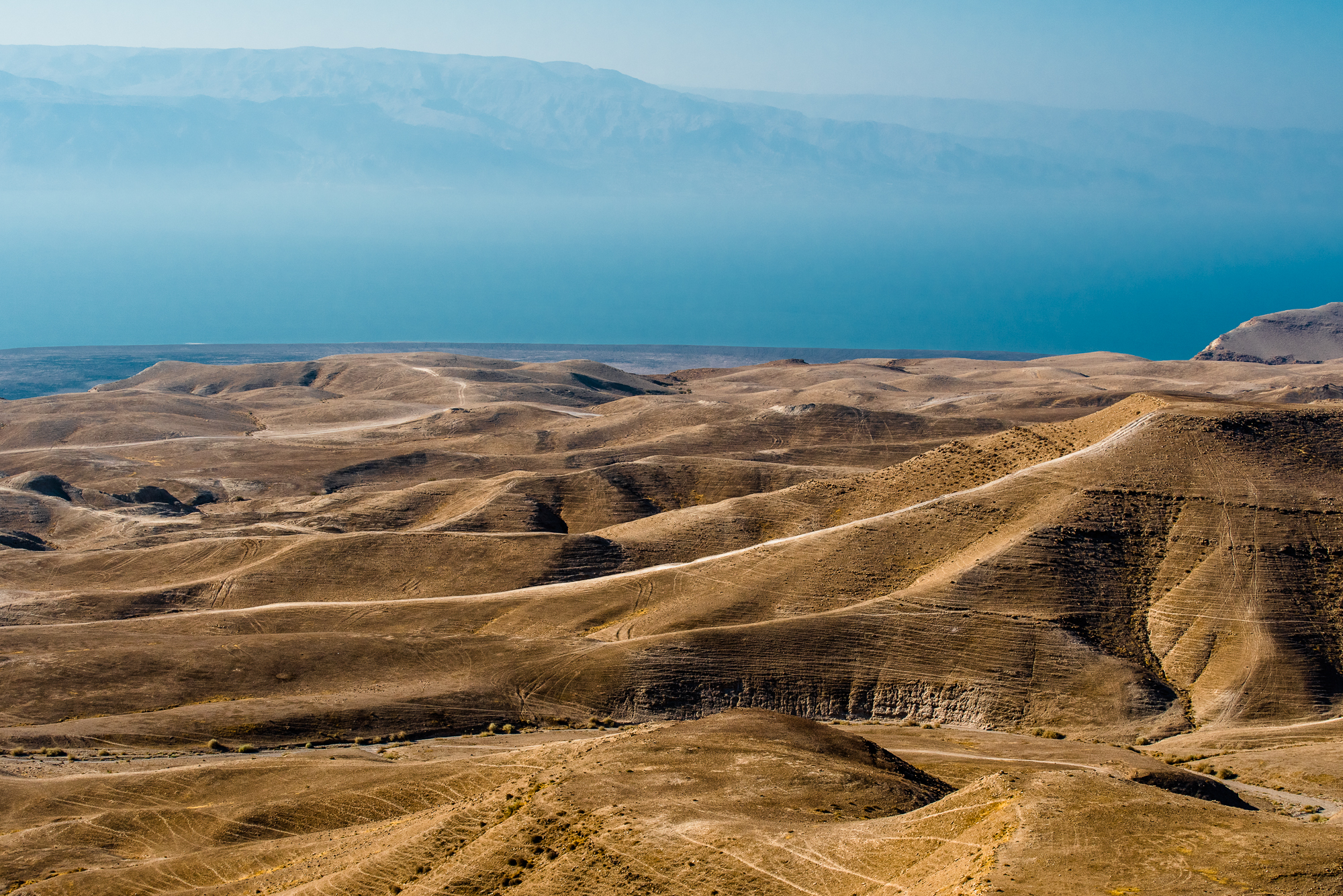 my desert site-0308.jpg