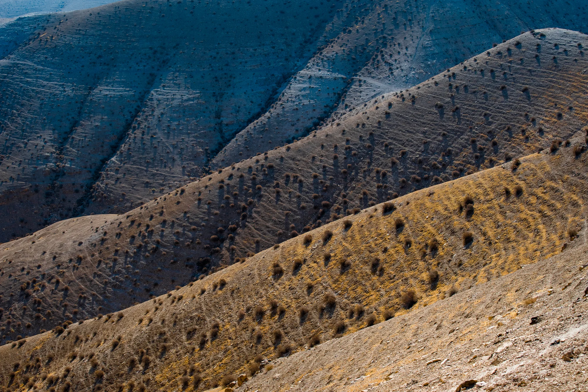 my desert site-0318.jpg