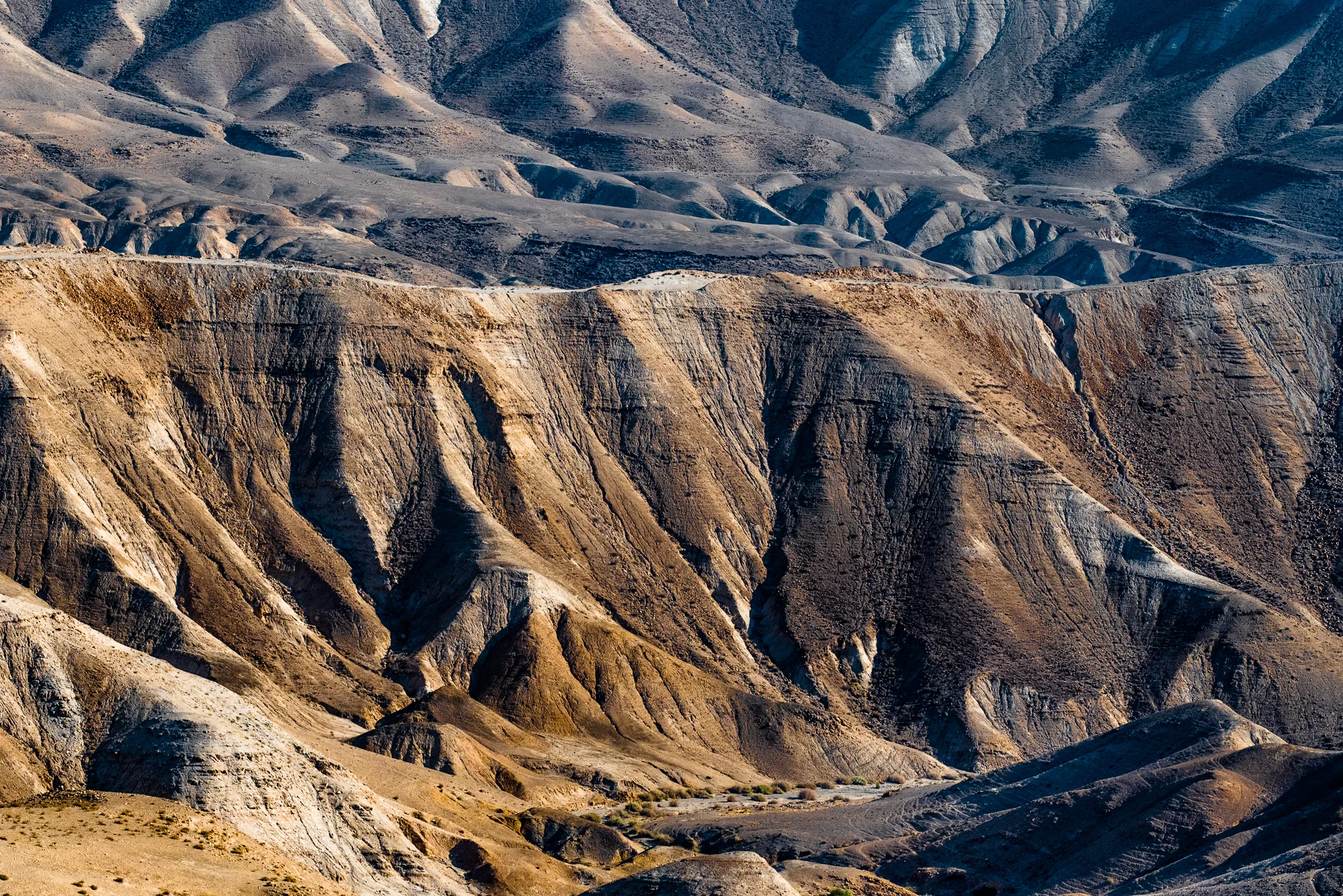 my desert site-0322.jpg