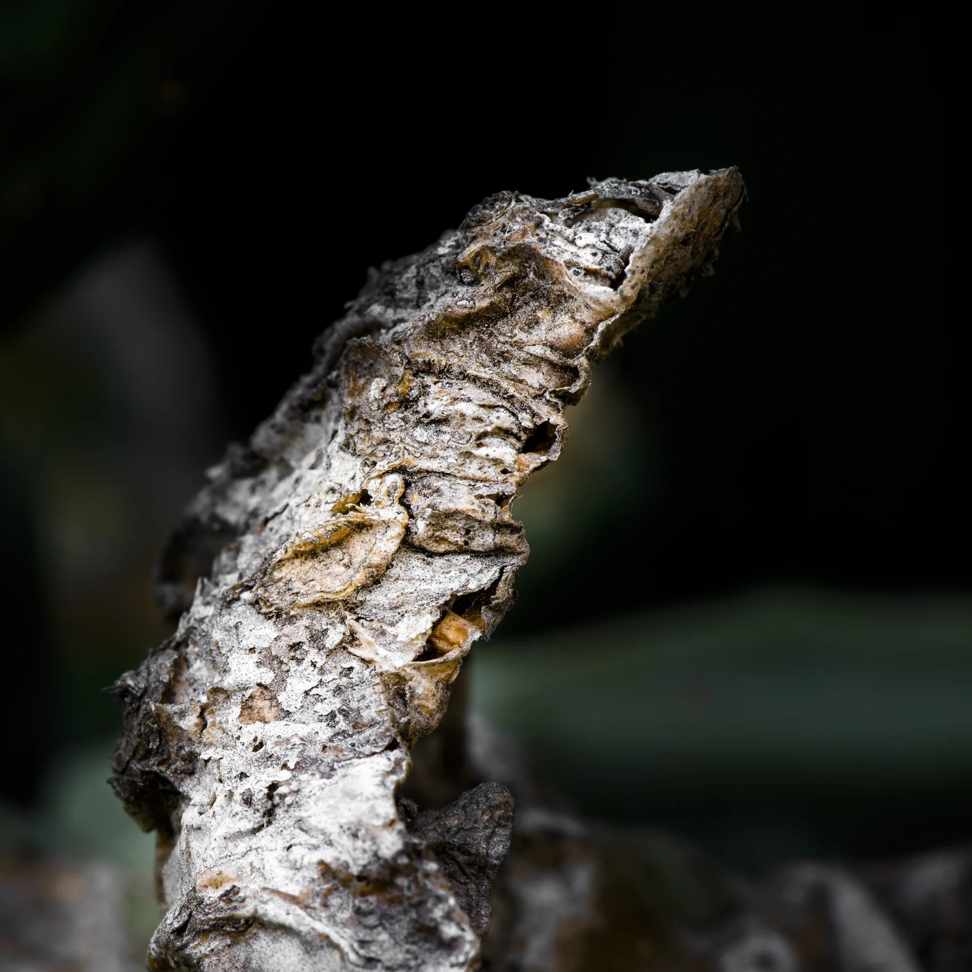 untitled-0177.jpg