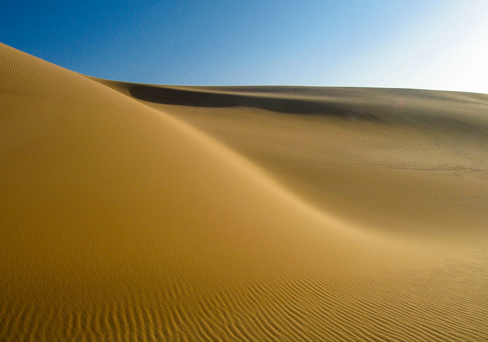 my desert site-264.jpg