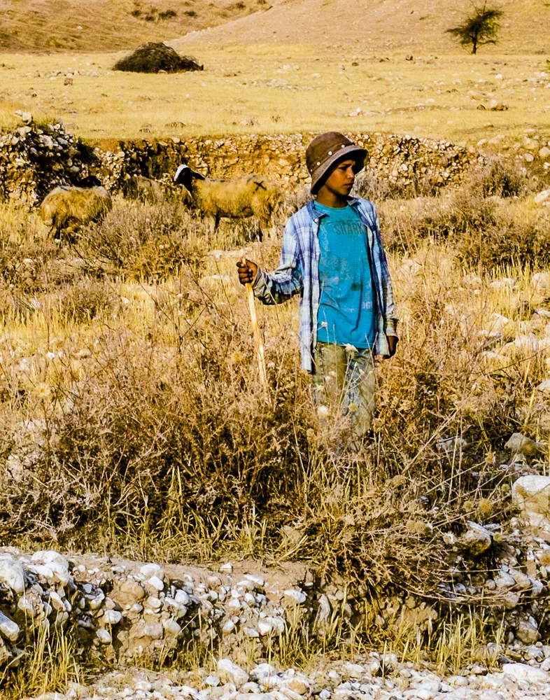 rmendesflohr Little Prince.jpg