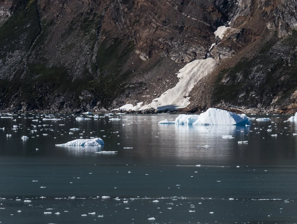 untitled shoot-000885-4.jpg