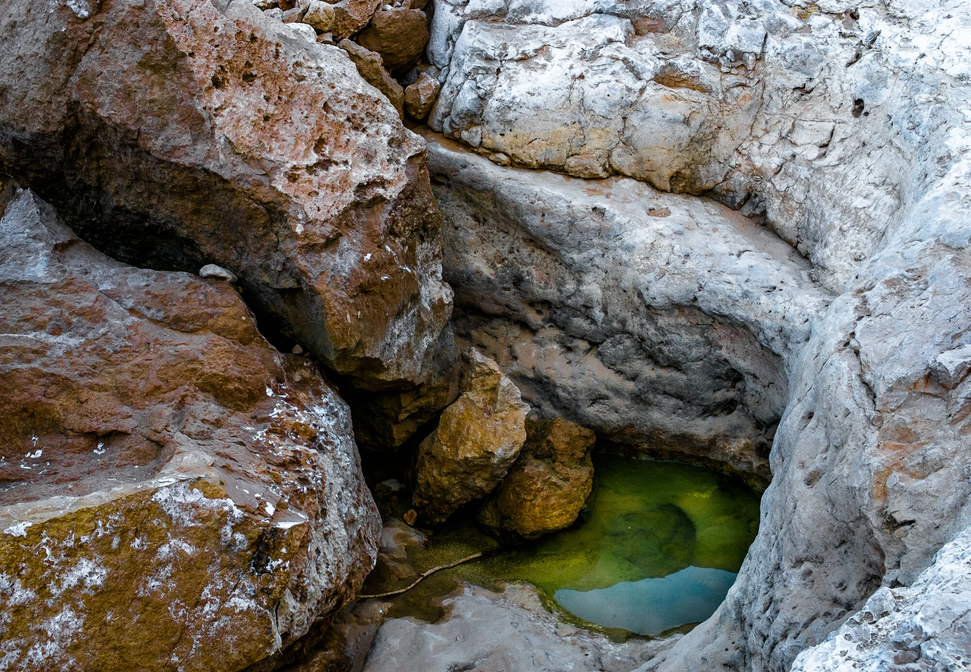 MENDESFLOHR -0103-2.jpg