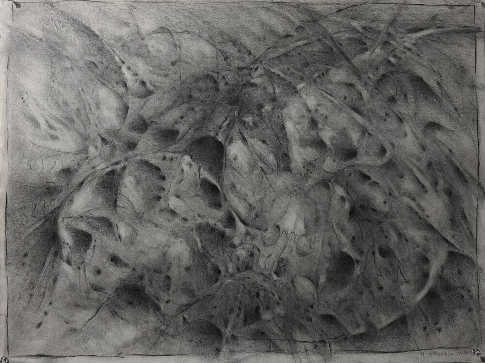 dogskull, drawing from 1989 , exhibited in 2019 in "Rashomon"  