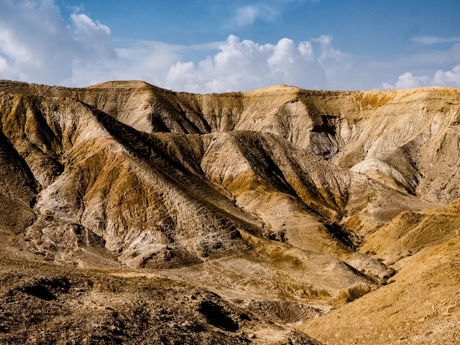 har harmun -1170065-2.jpg