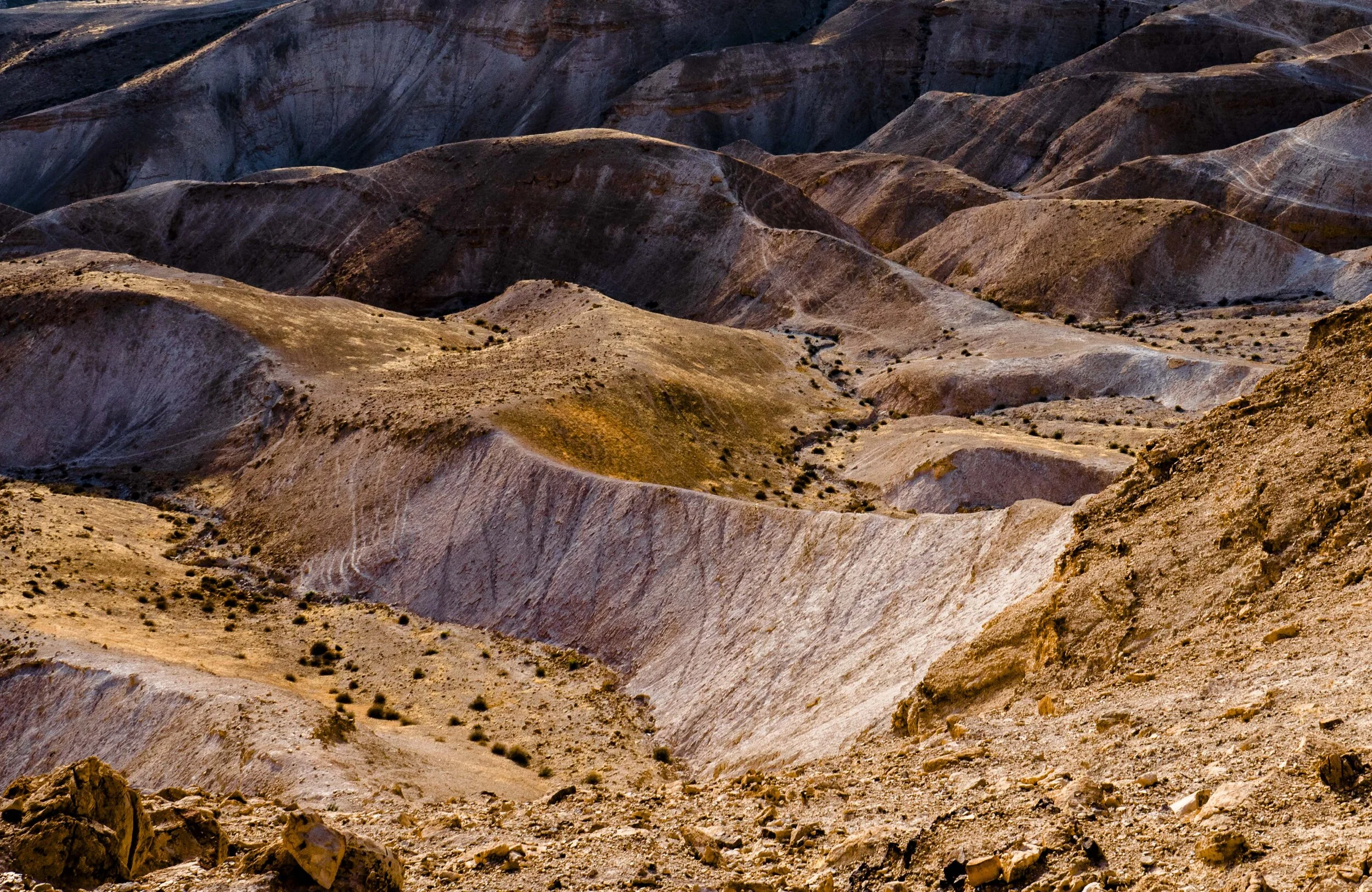 katef tor -1170932.jpg