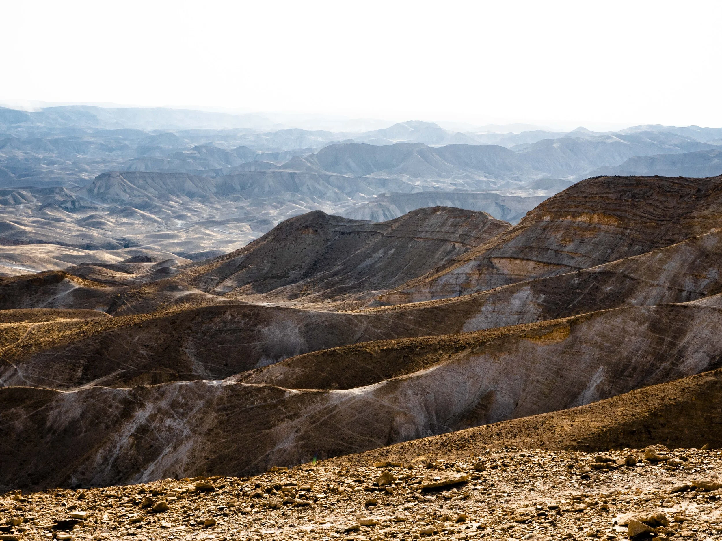 katef tor -1170903-2.jpg