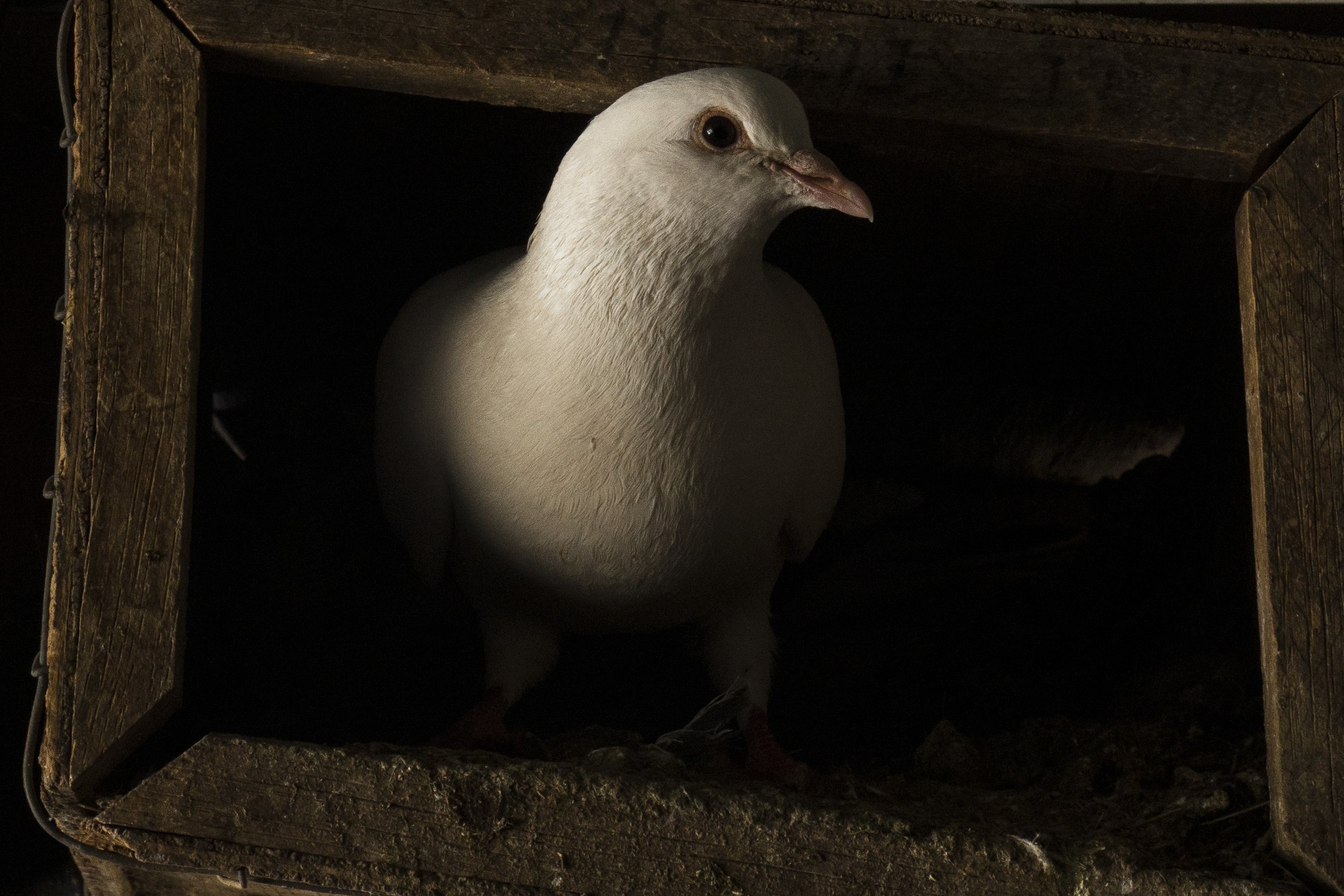 Photographs and Words - the stories behind the photograph 