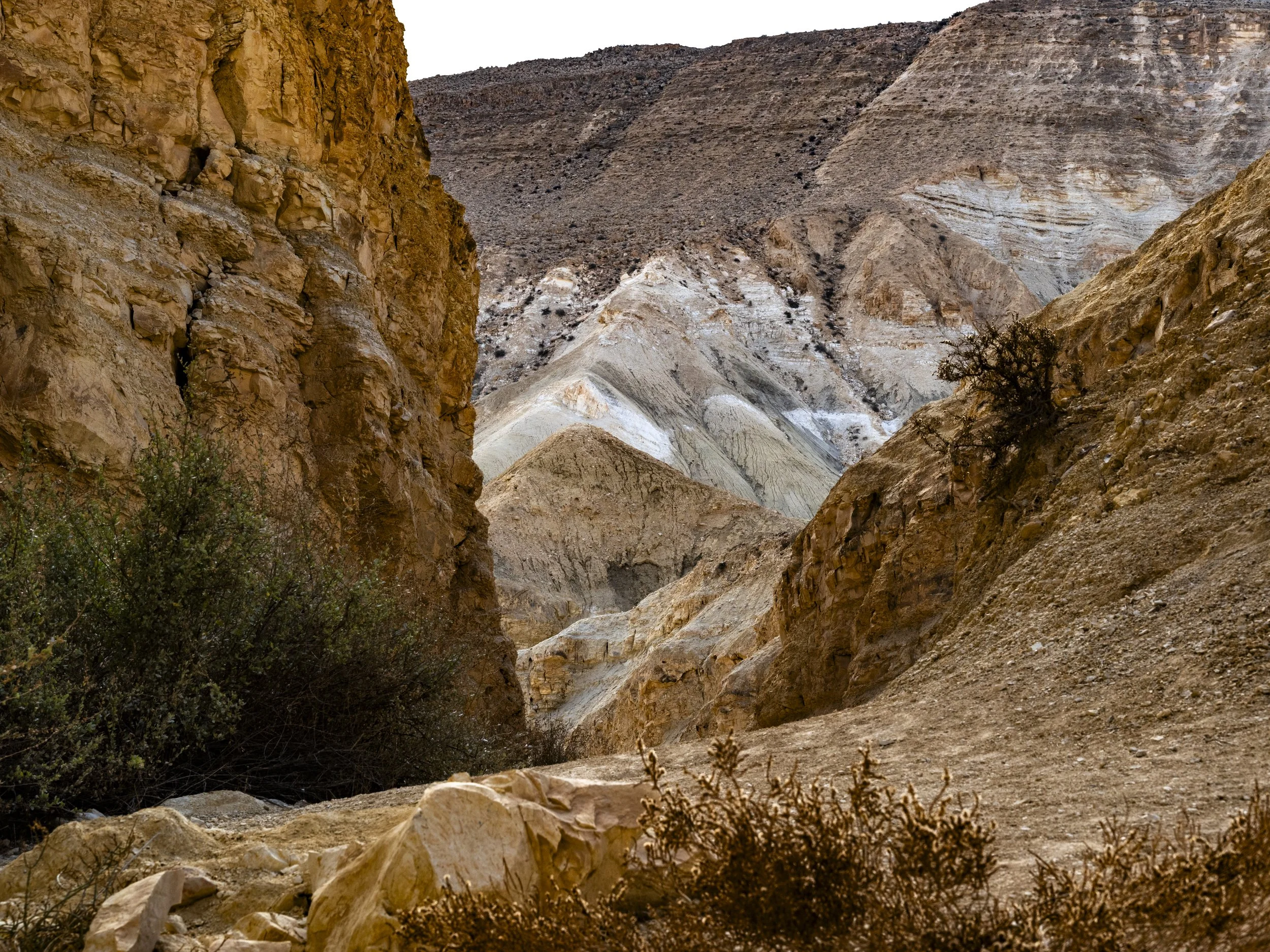 sde boker Tereshsde-59842.jpg