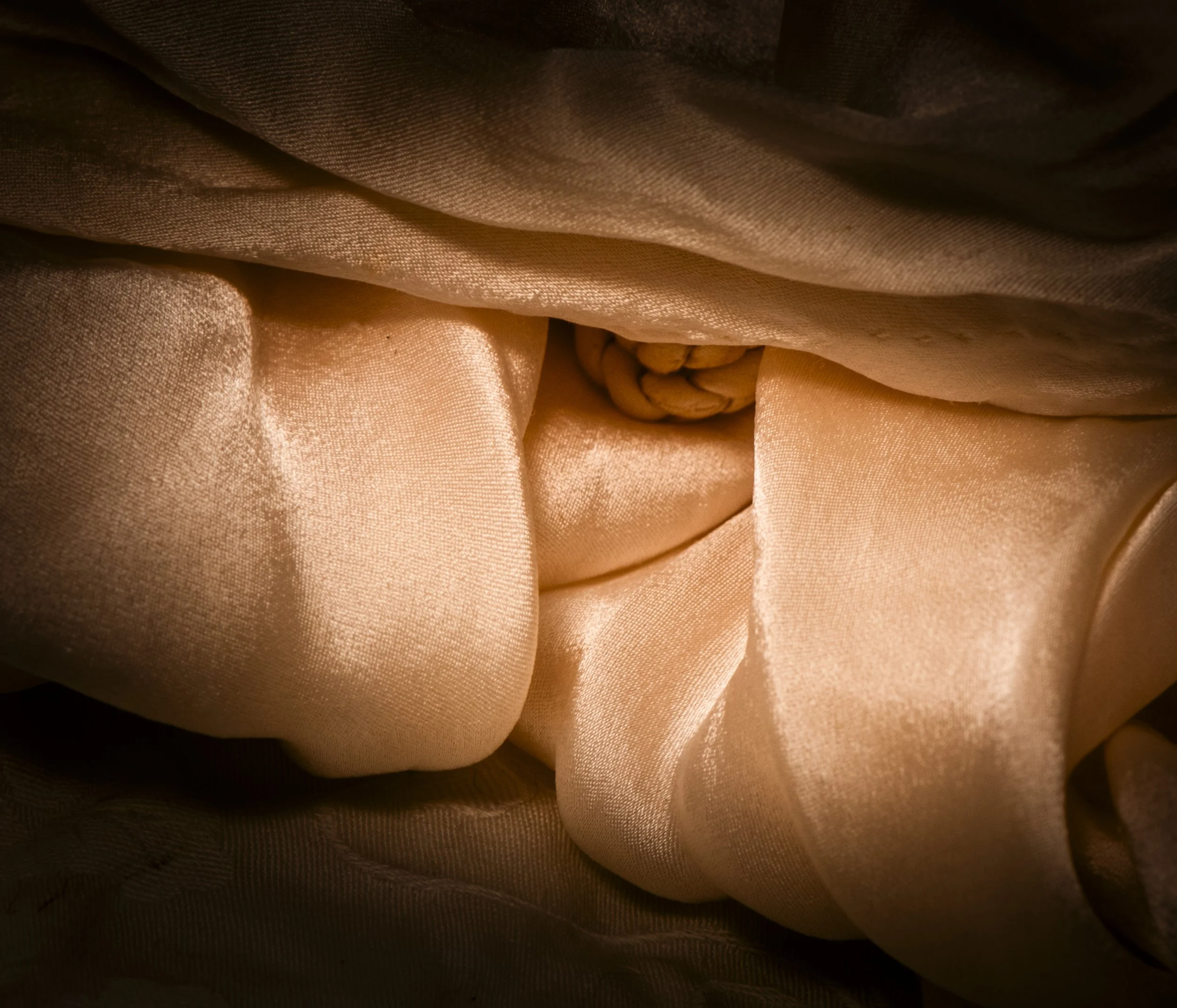 redone almost final shelllike DNG -3812.jpg