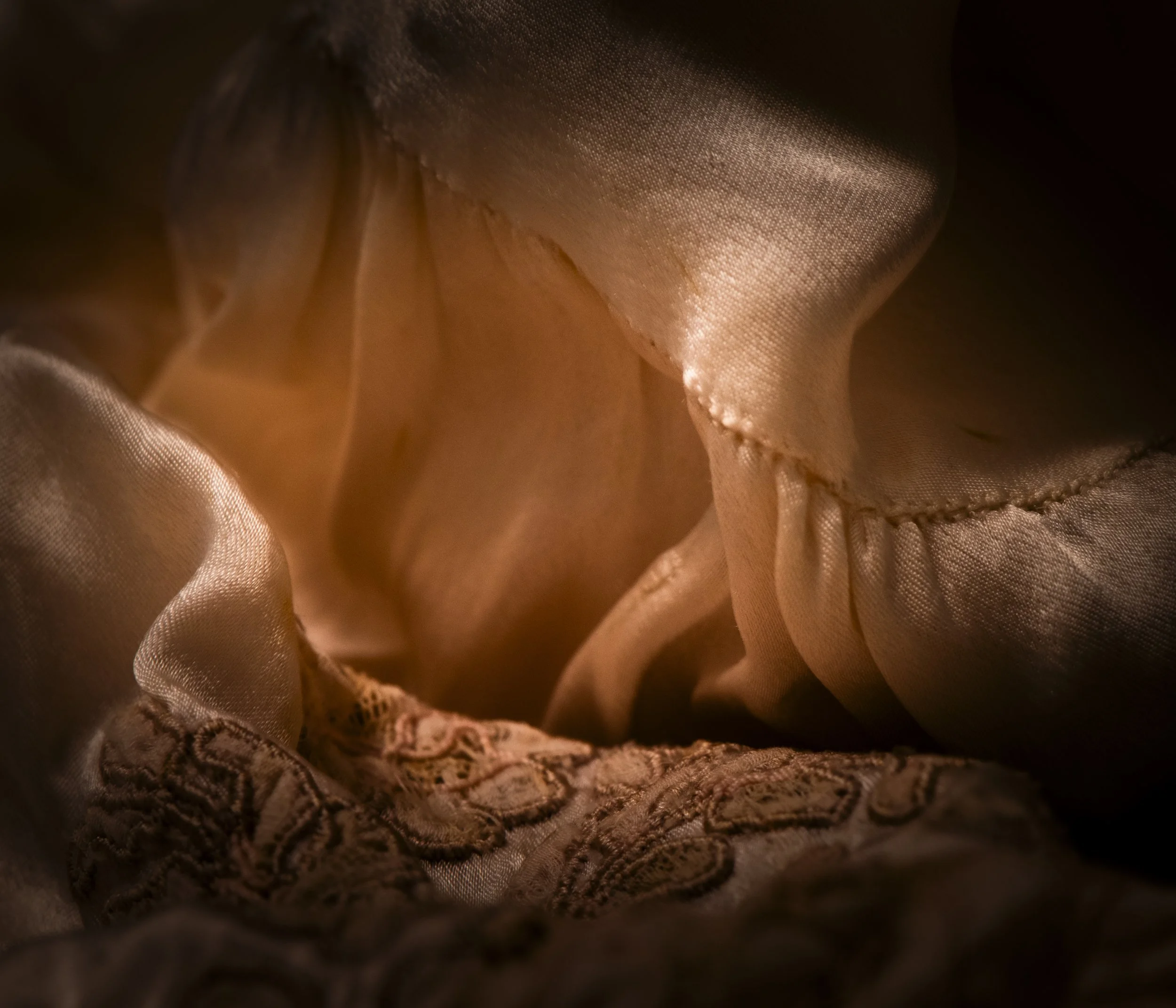 redone almost final shelllike DNG -3818-3.jpg