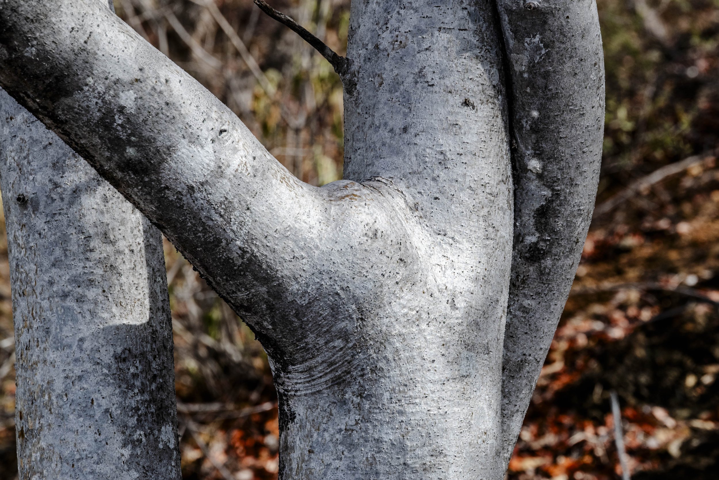 nootdkust 2025 -51806.jpg