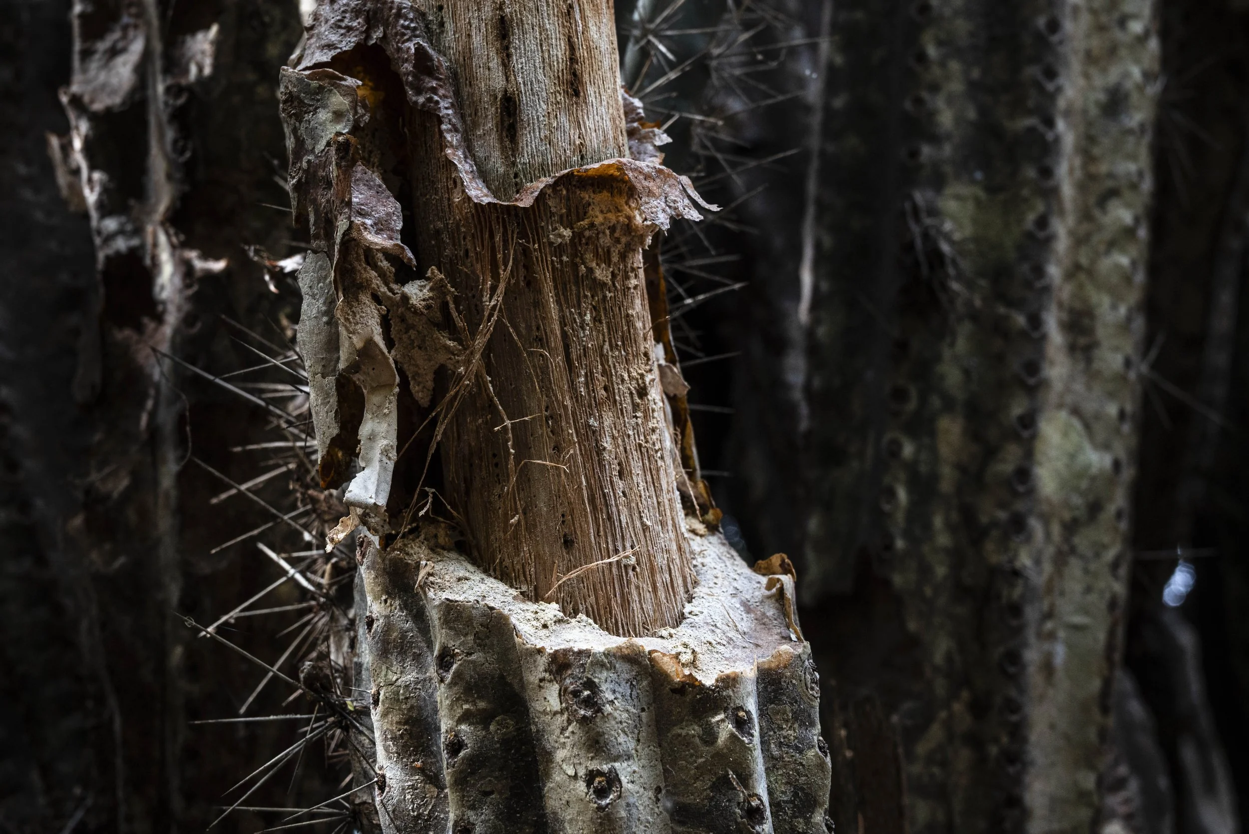 nootdkust 2025 -51855.jpg