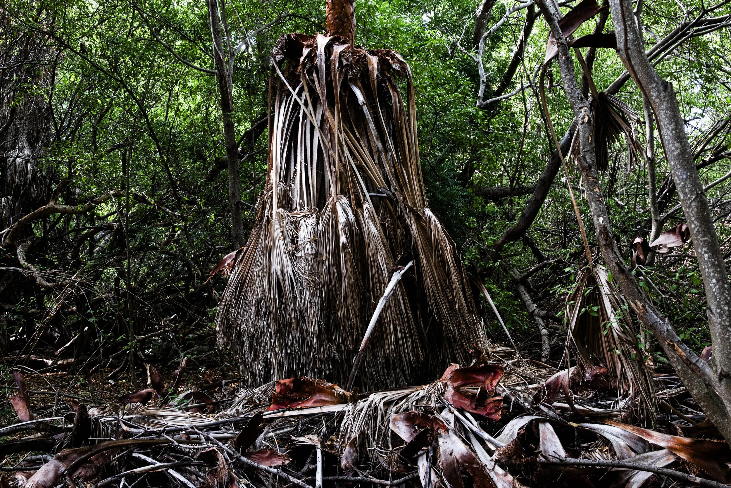 nootdkust 2025 -51848.jpg