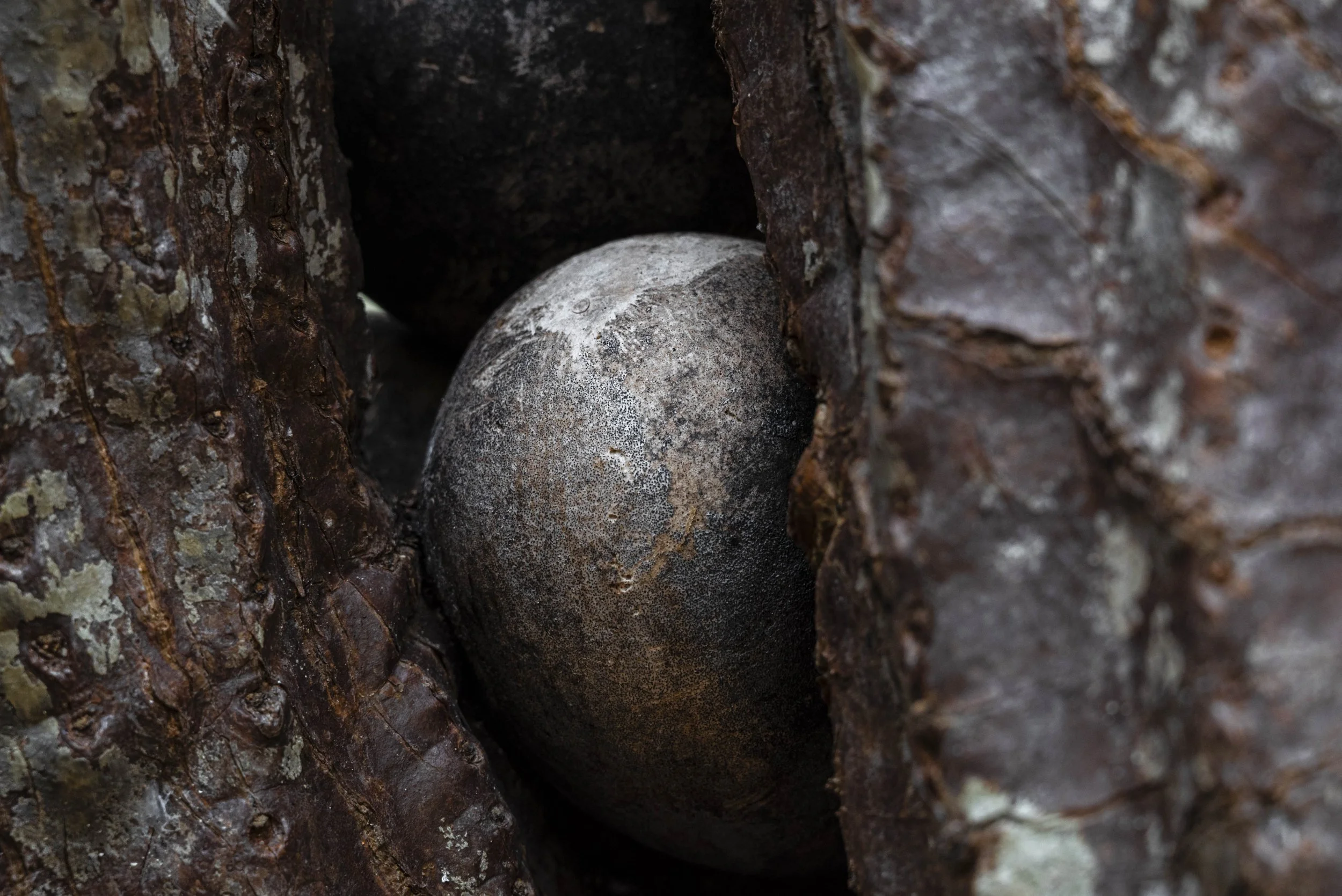 nootdkust 2025 -51863.jpg