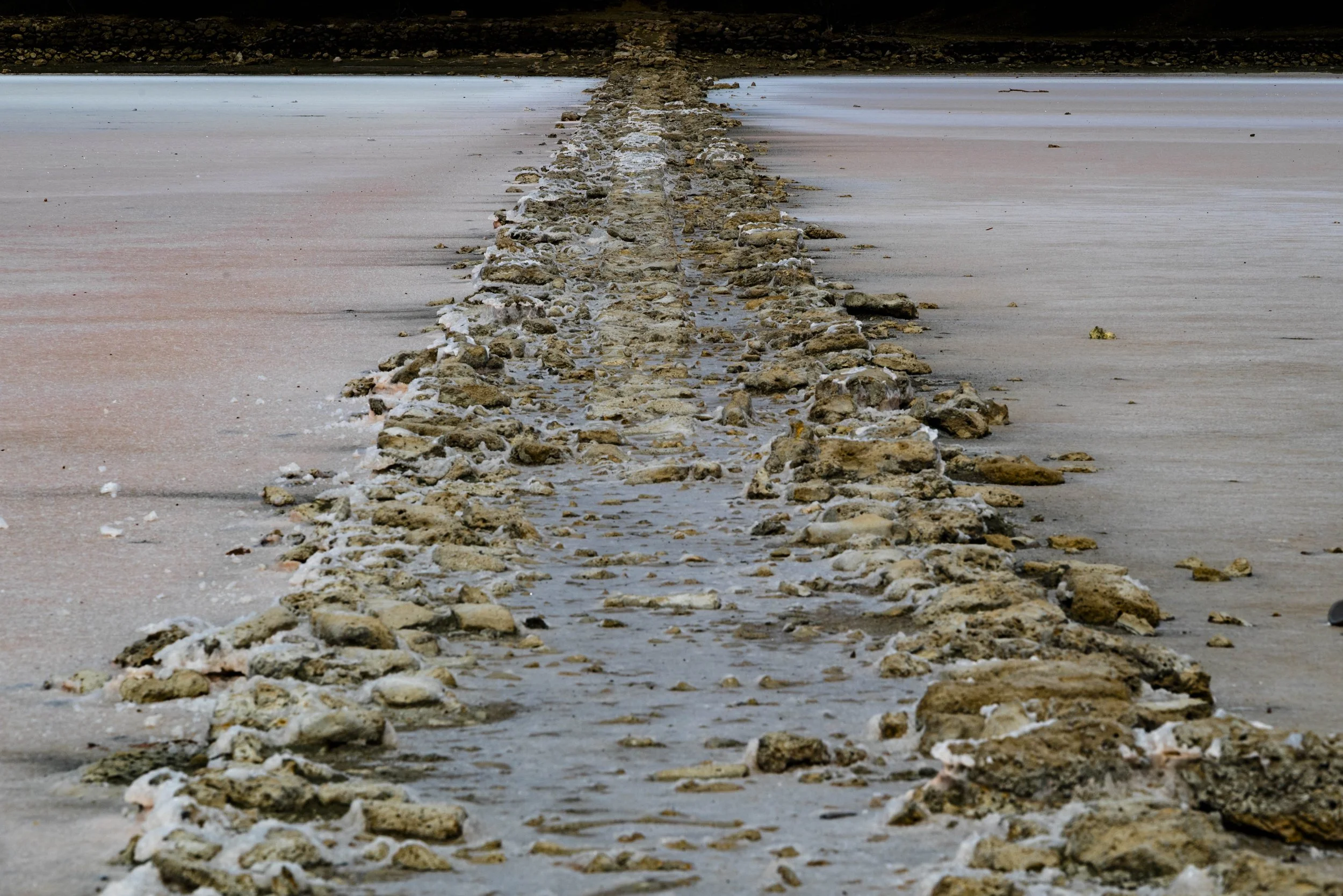 nootdkust 2025 -51890.jpg