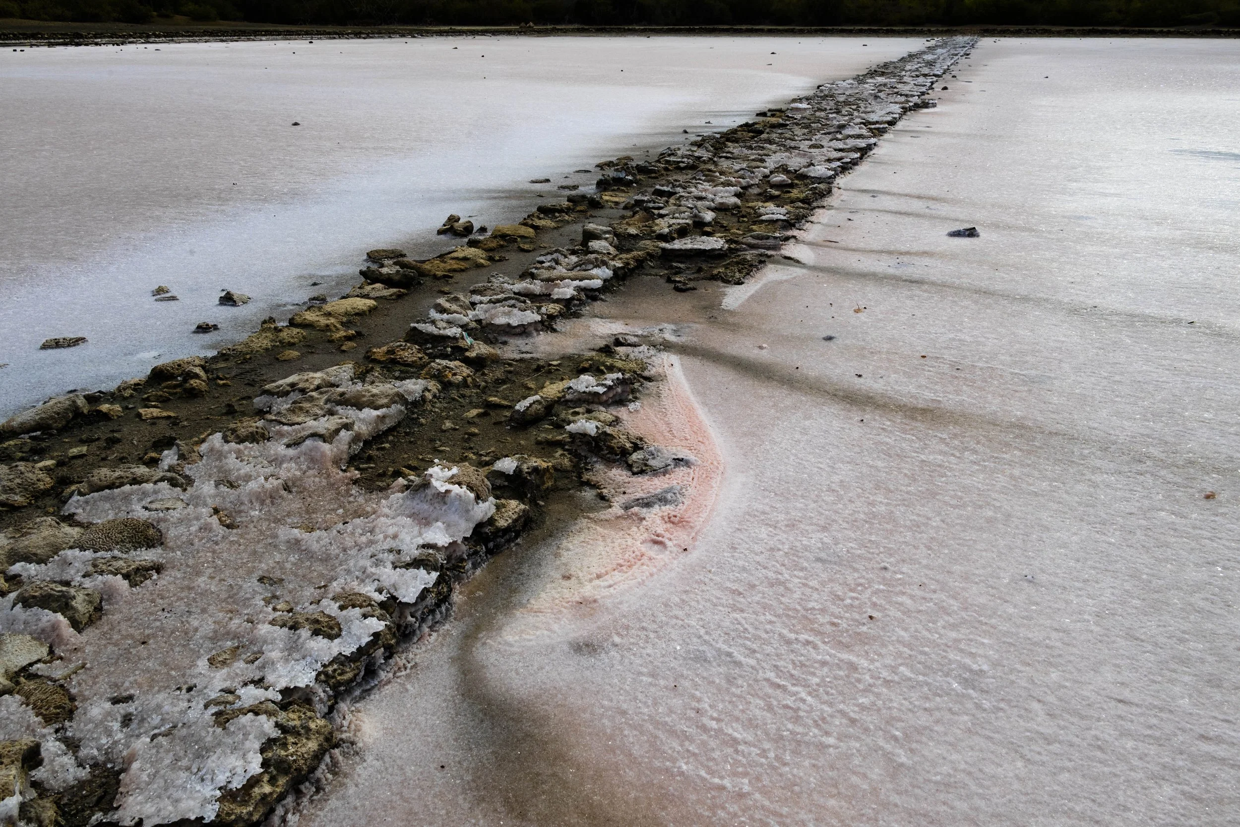 nootdkust 2025 -51910.jpg