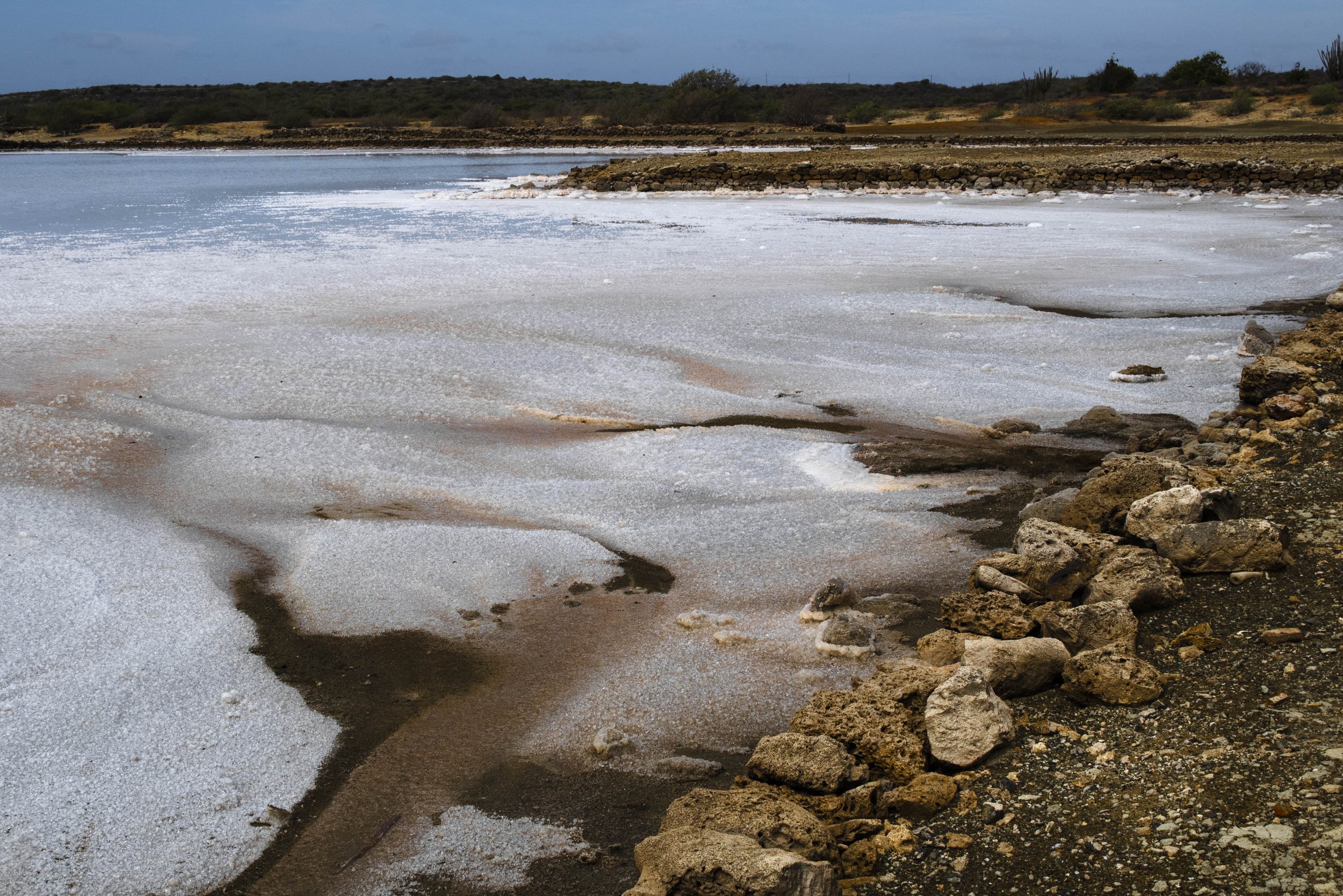 nootdkust 2025 -51921.jpg