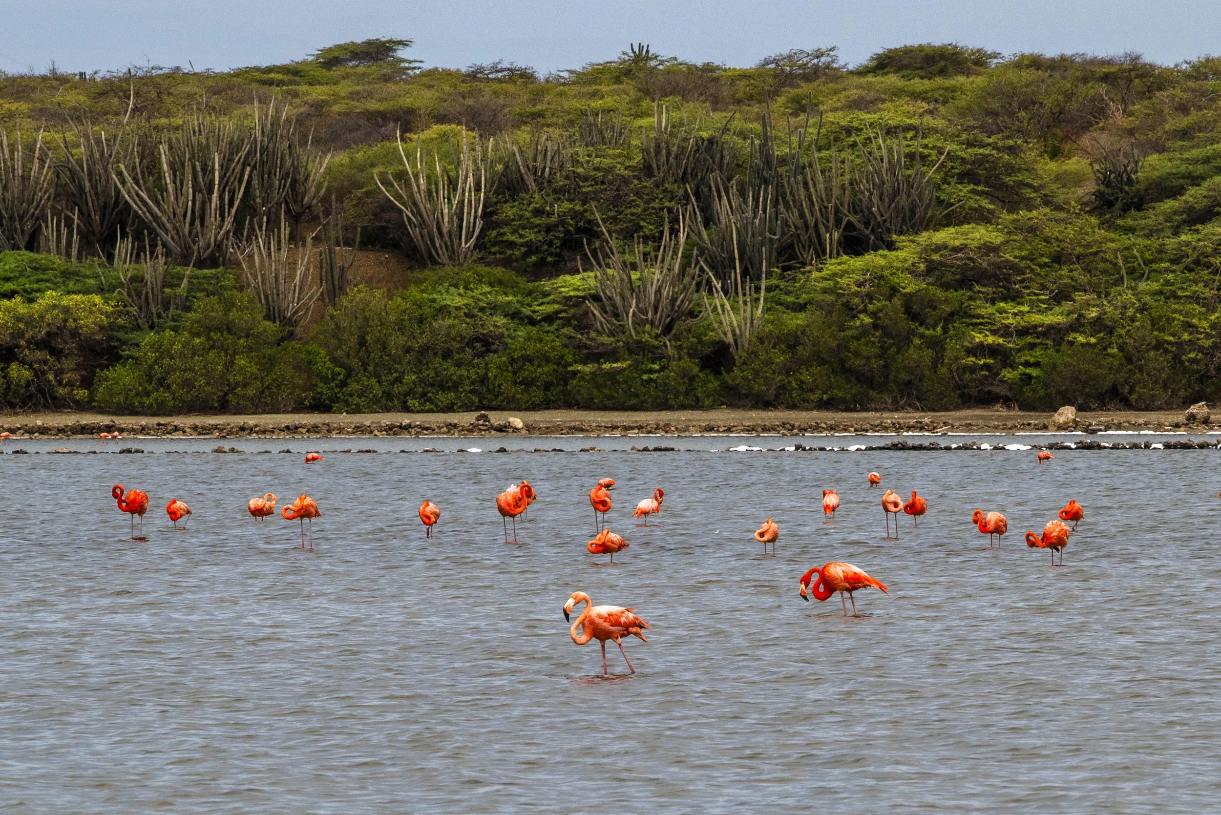 nootdkust 2025 -51984.jpg