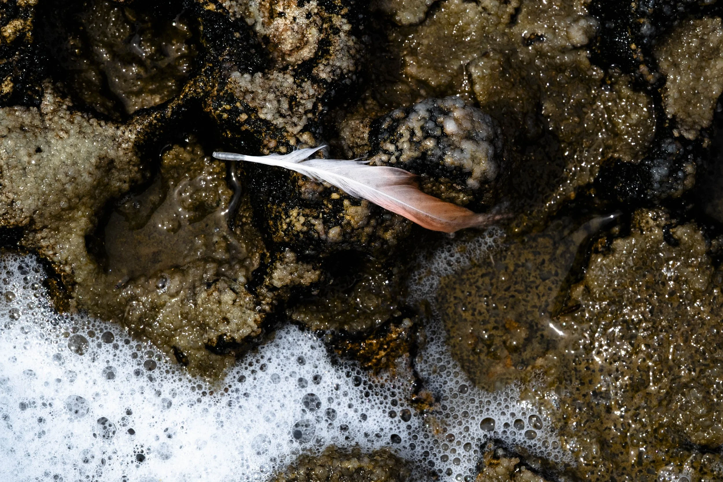 nootdkust 2025 -52004.jpg