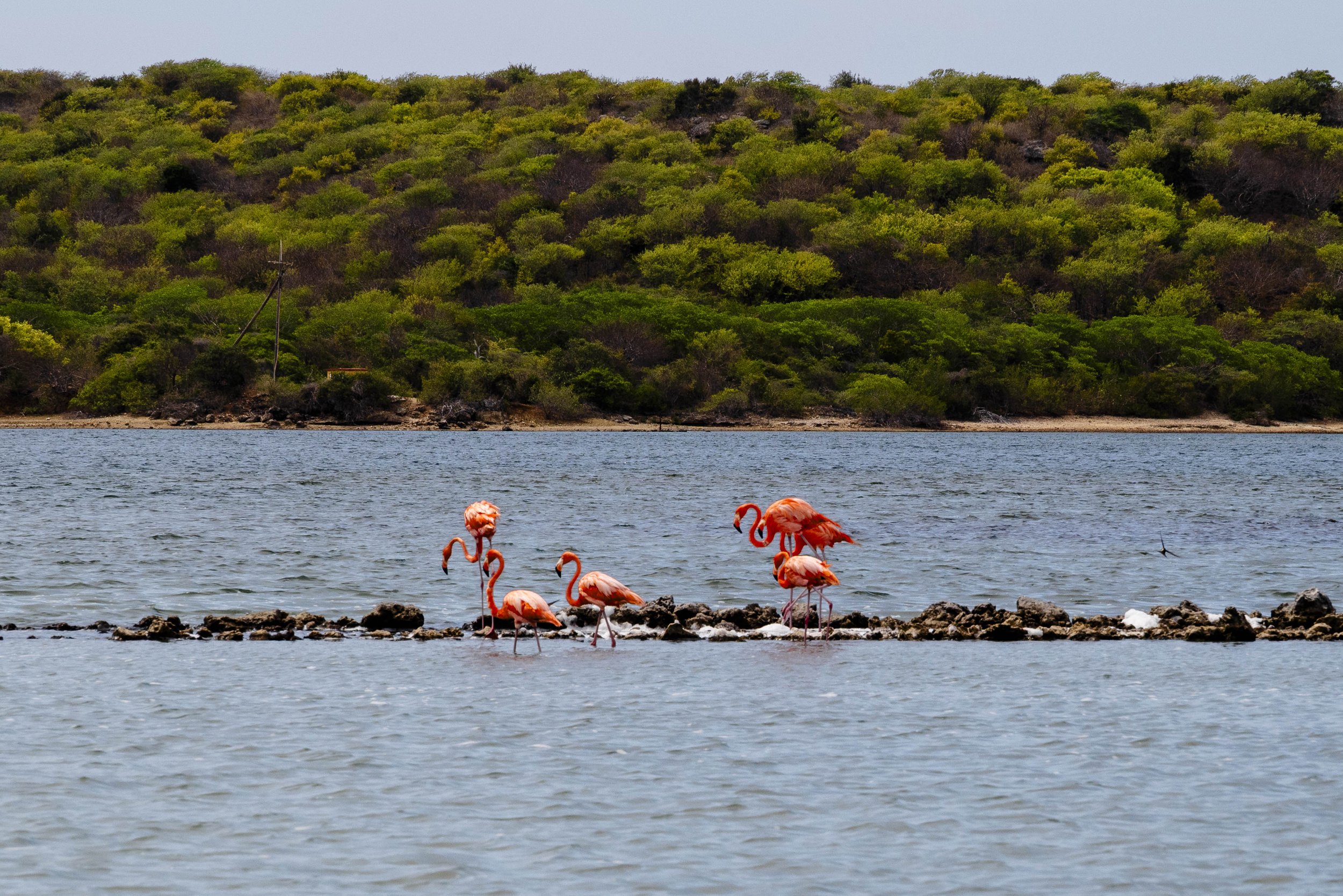 nootdkust 2025 -52015.jpg