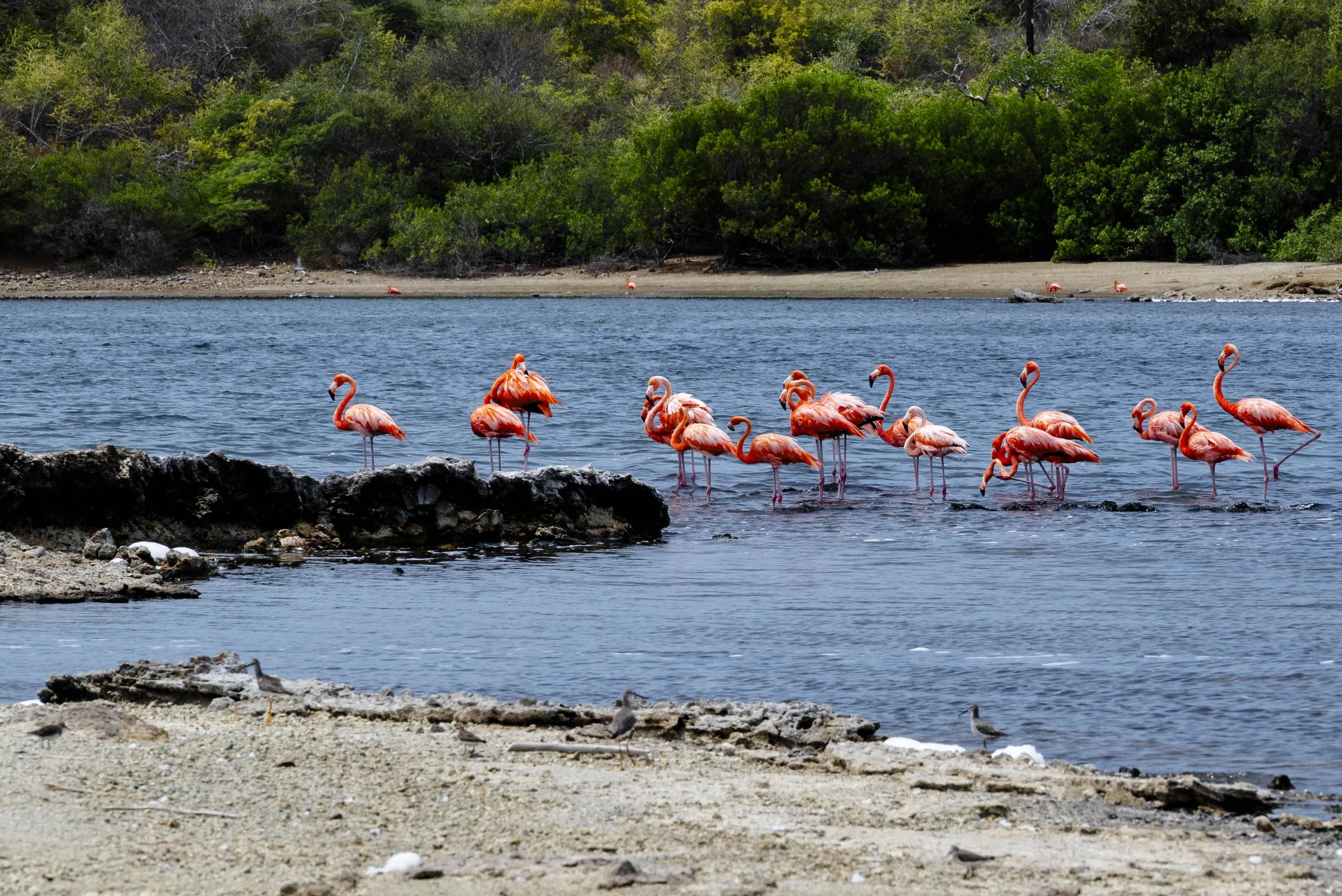 nootdkust 2025 -52040.jpg