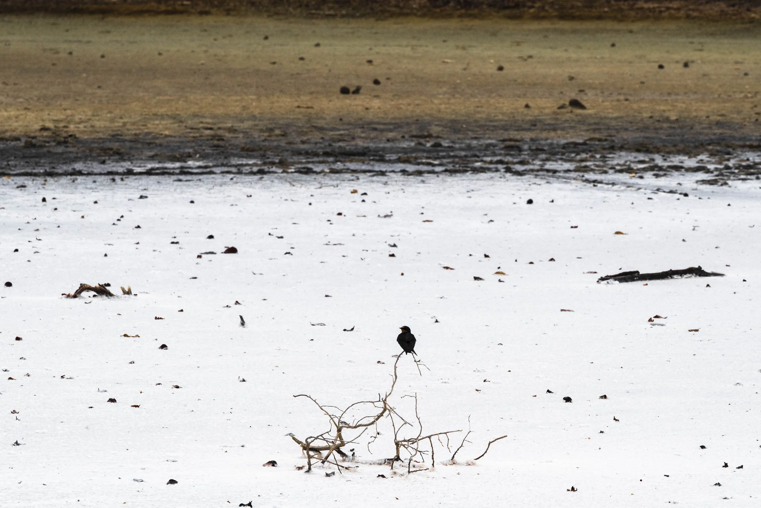 nootdkust 2025 -52076.jpg