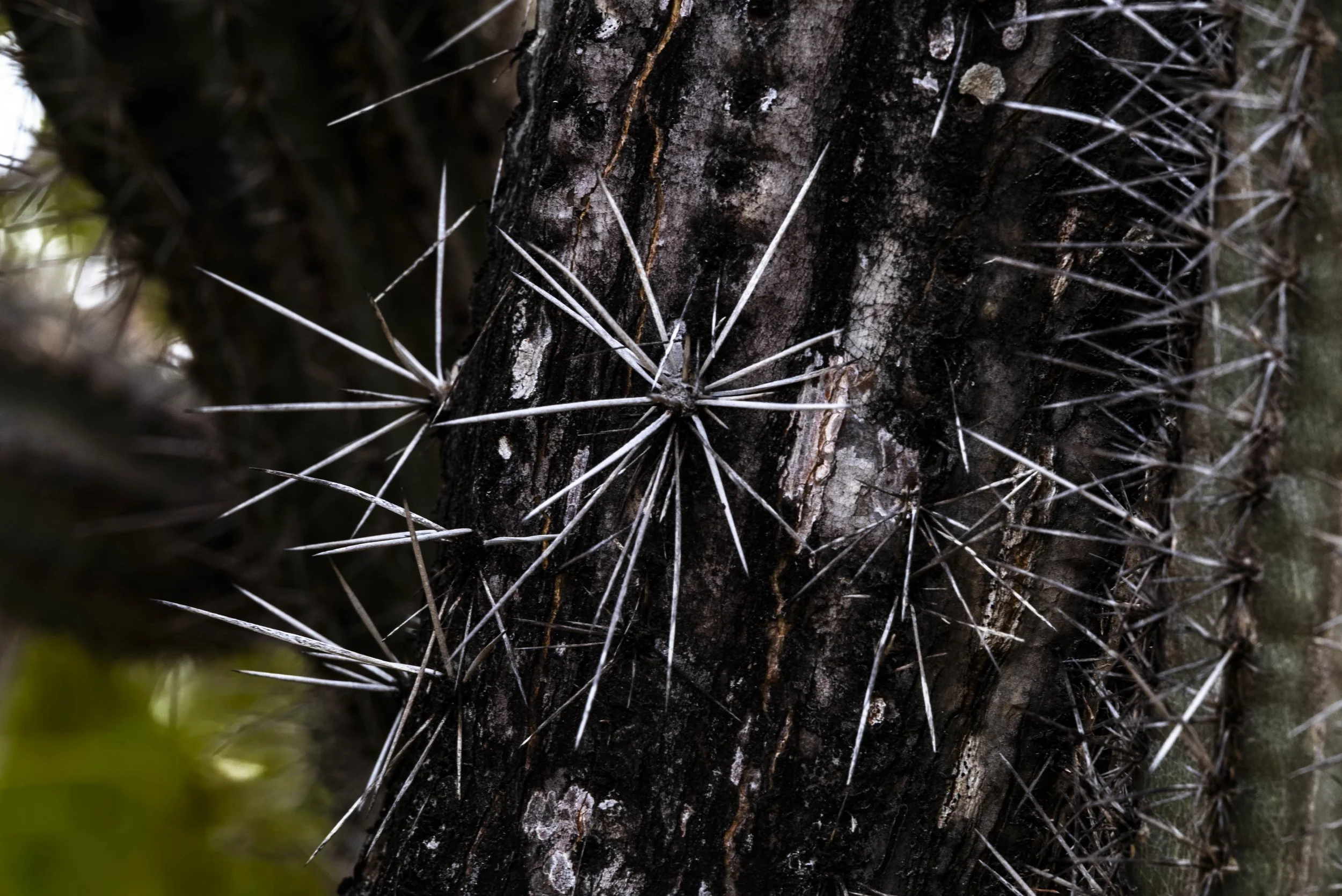 nootdkust 2025 -51795.jpg