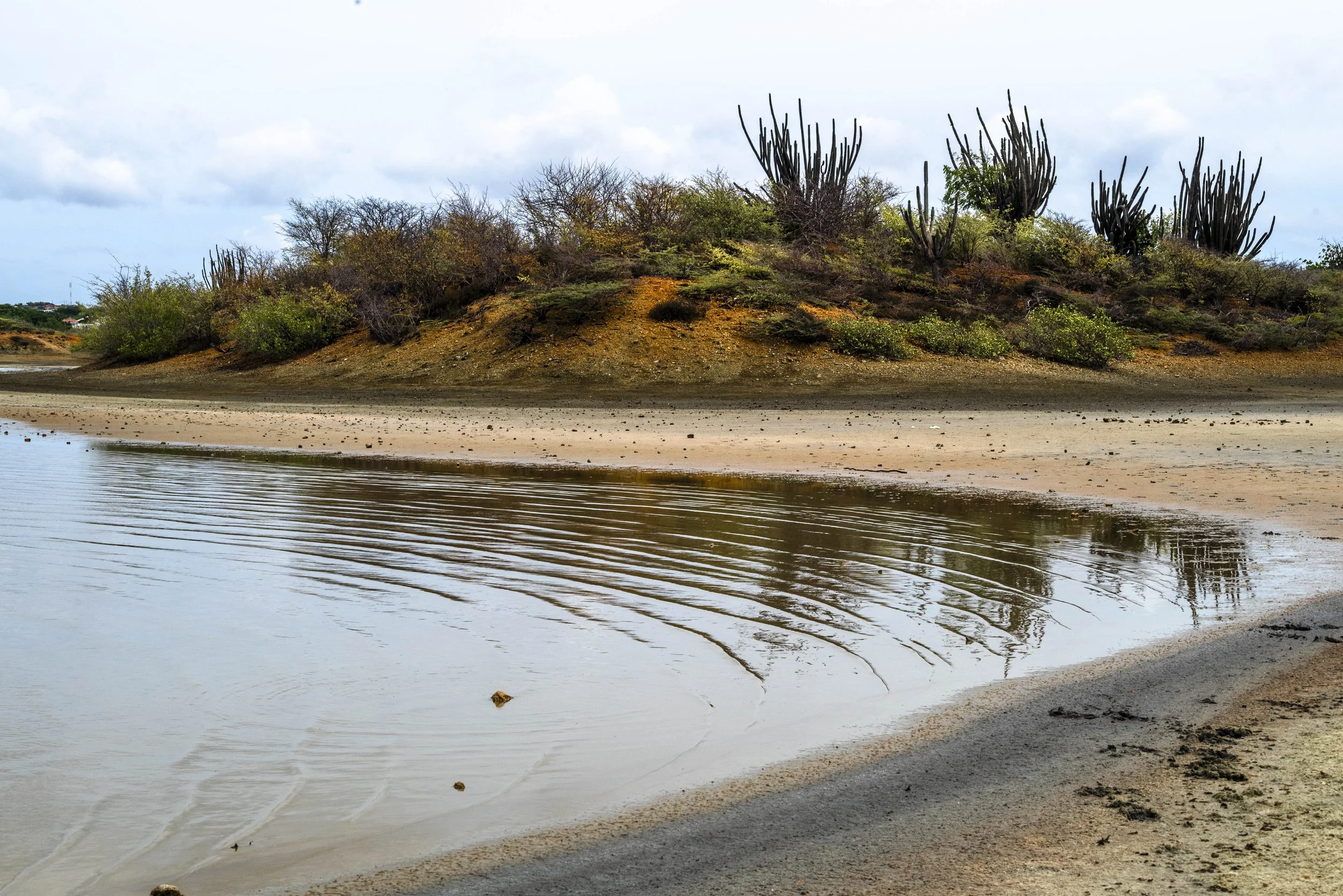 nootdkust 2025 -51971.jpg