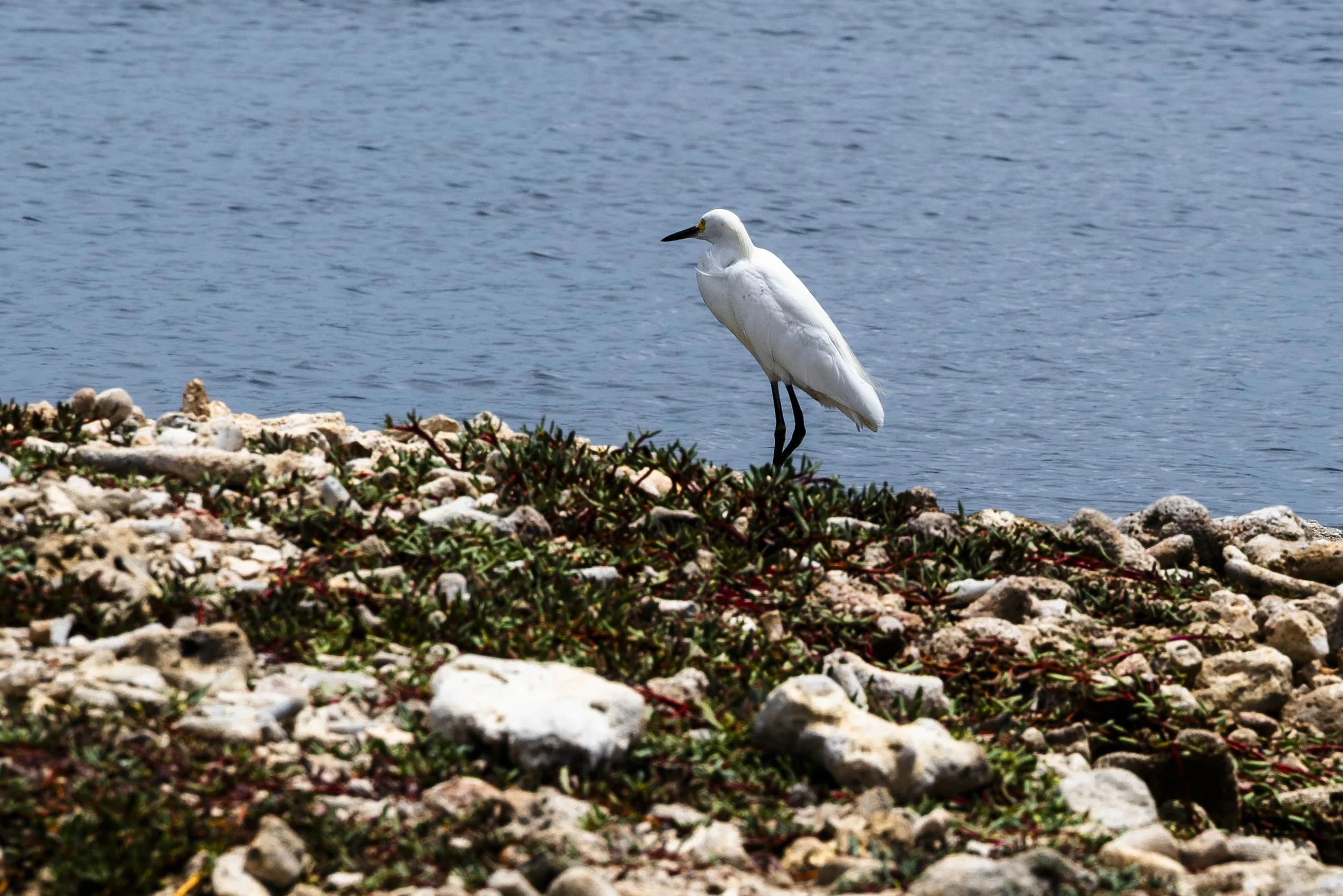 nootdkust 2025 -52059.jpg