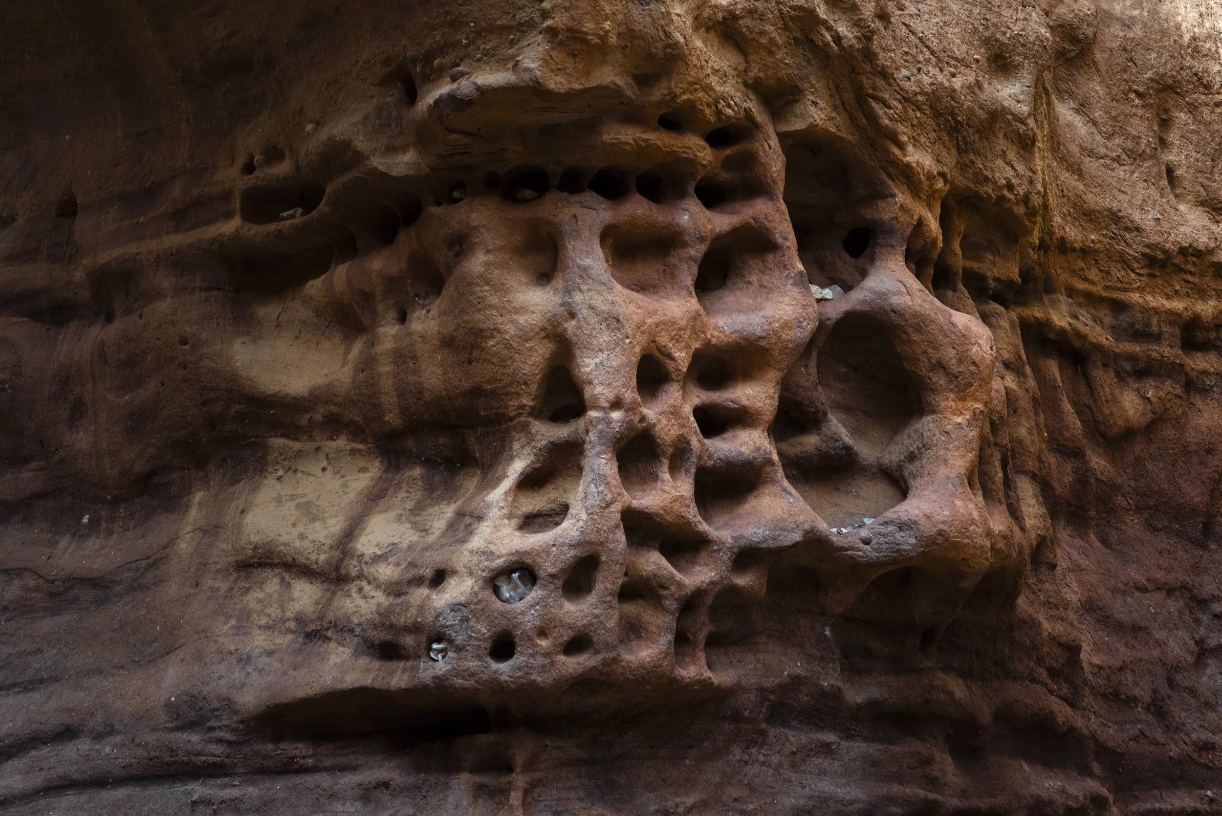 Eilat 2025 Sunday-52669.jpg