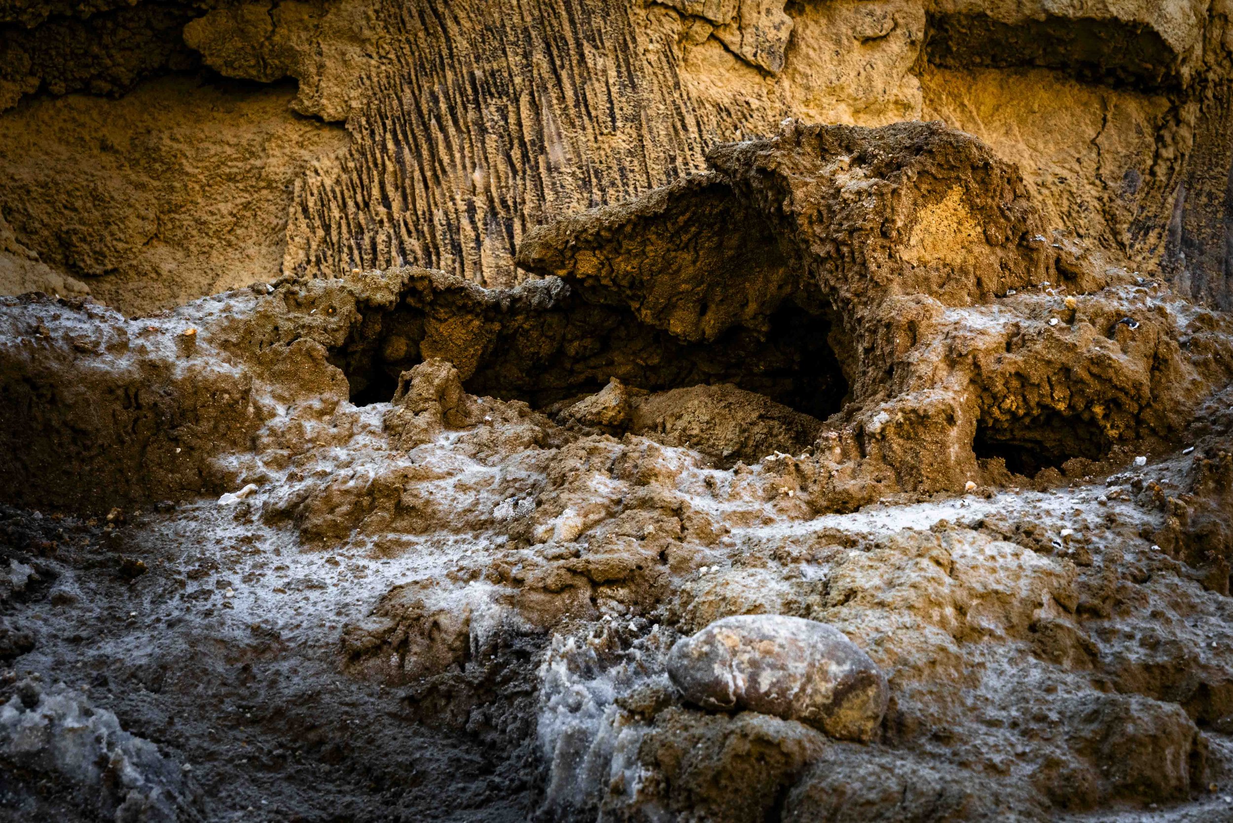 nahal Sodom 2026 hovevei-52791.jpg