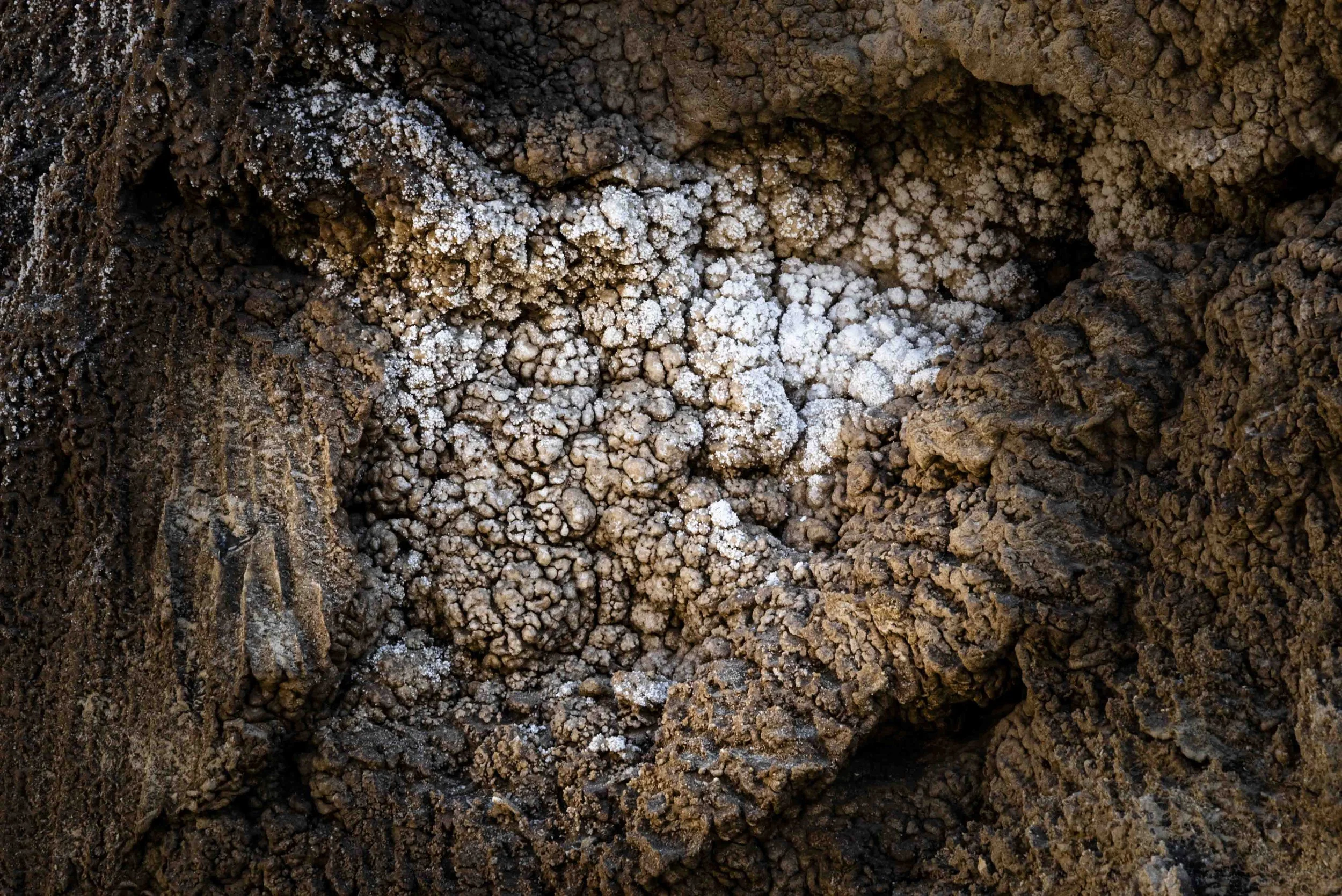 nahal Sodom 2026 hovevei-52802.jpg