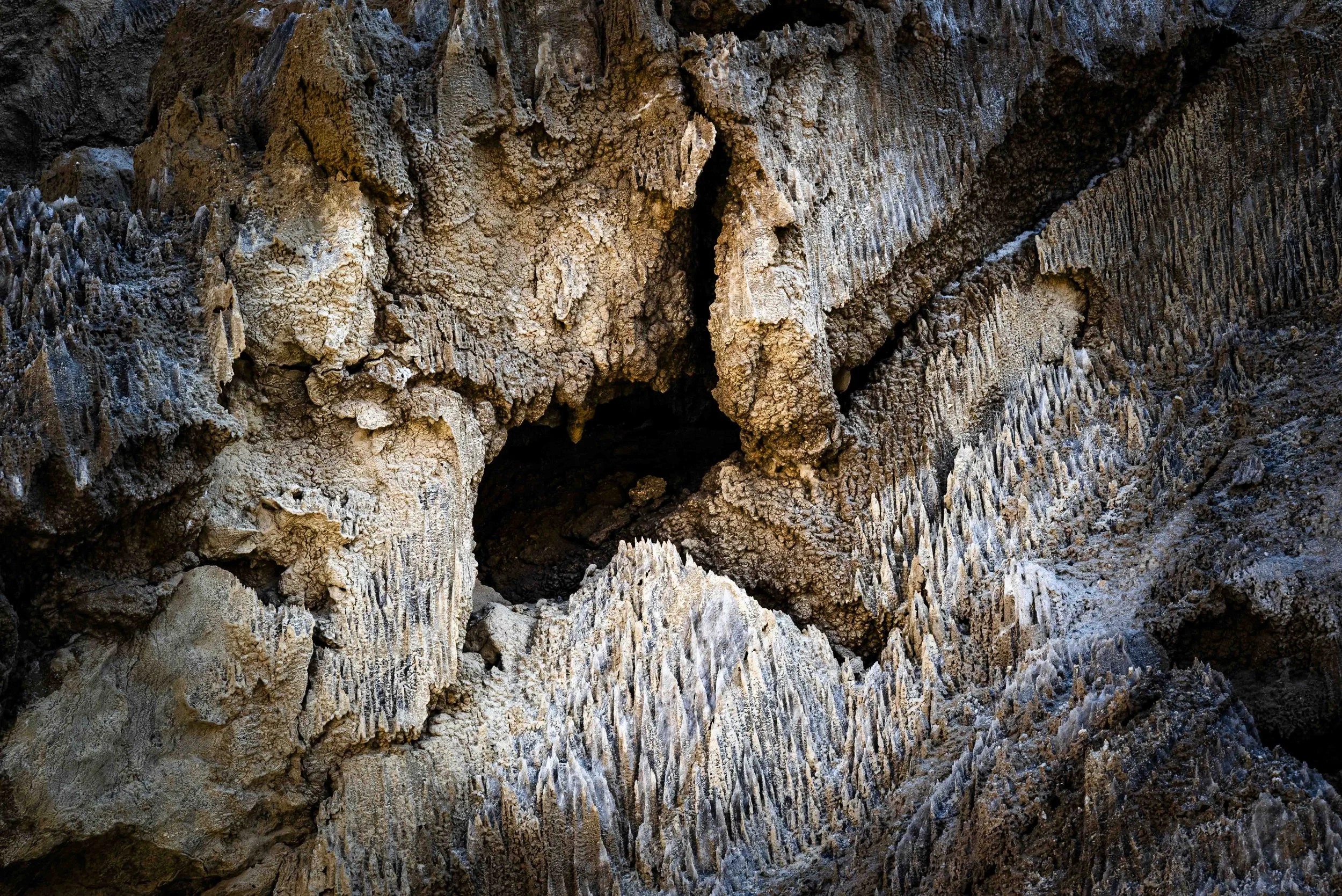 nahal Sodom 2026 hovevei-52803.jpg