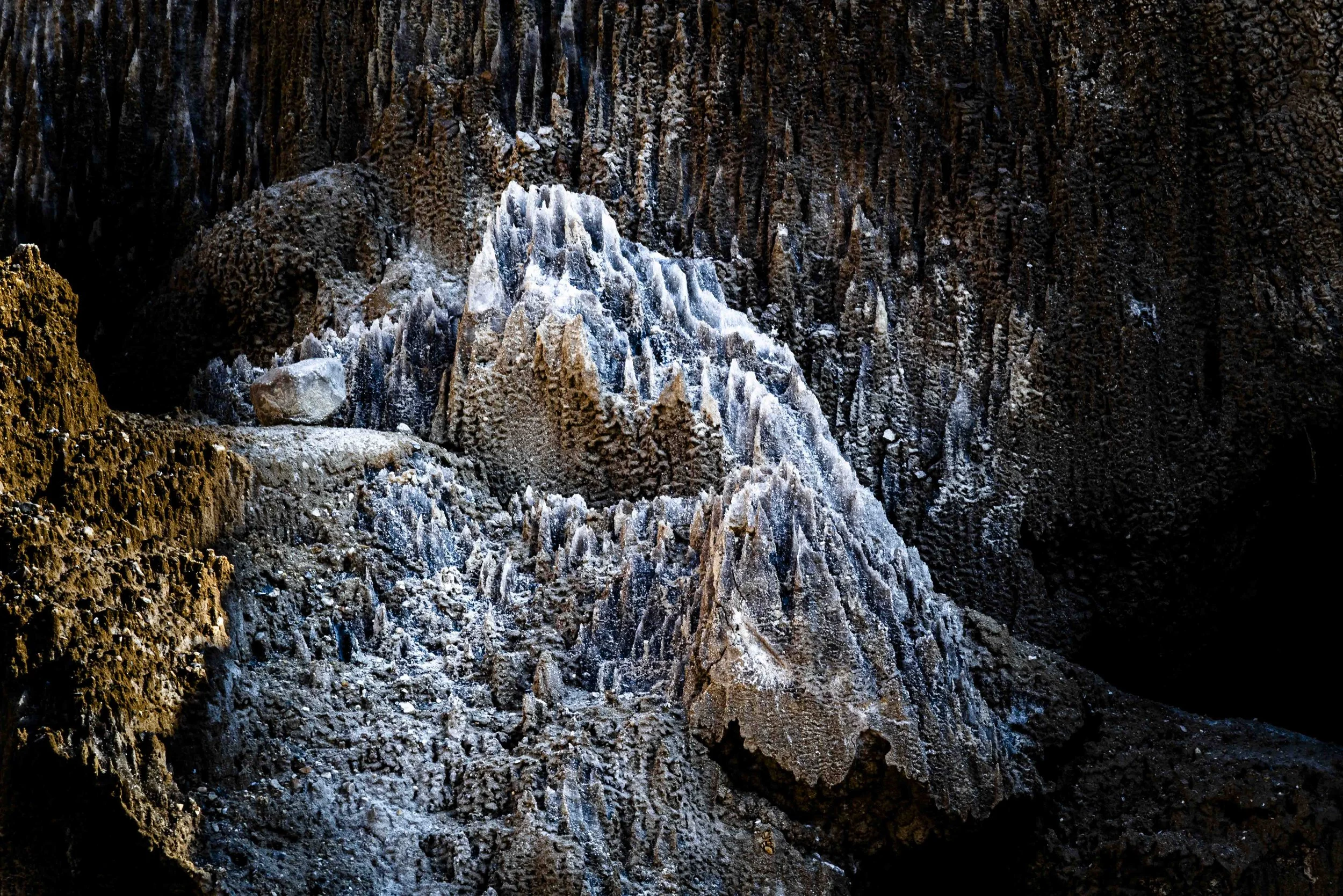 nahal Sodom 2026 hovevei-52805.jpg