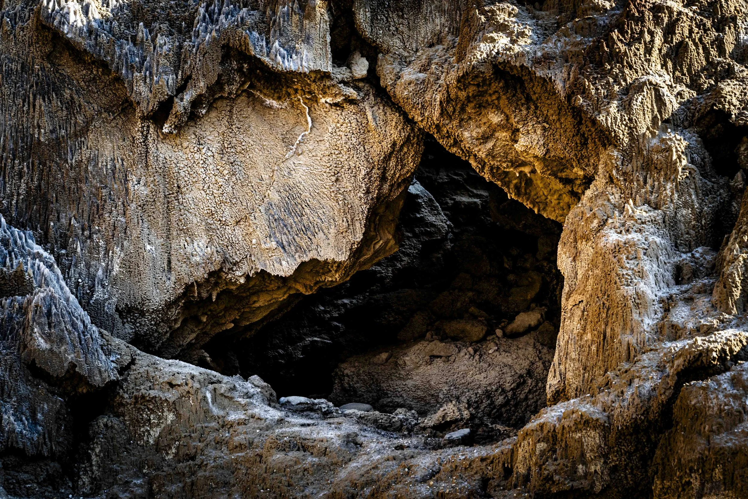 nahal Sodom 2026 hovevei-52806.jpg