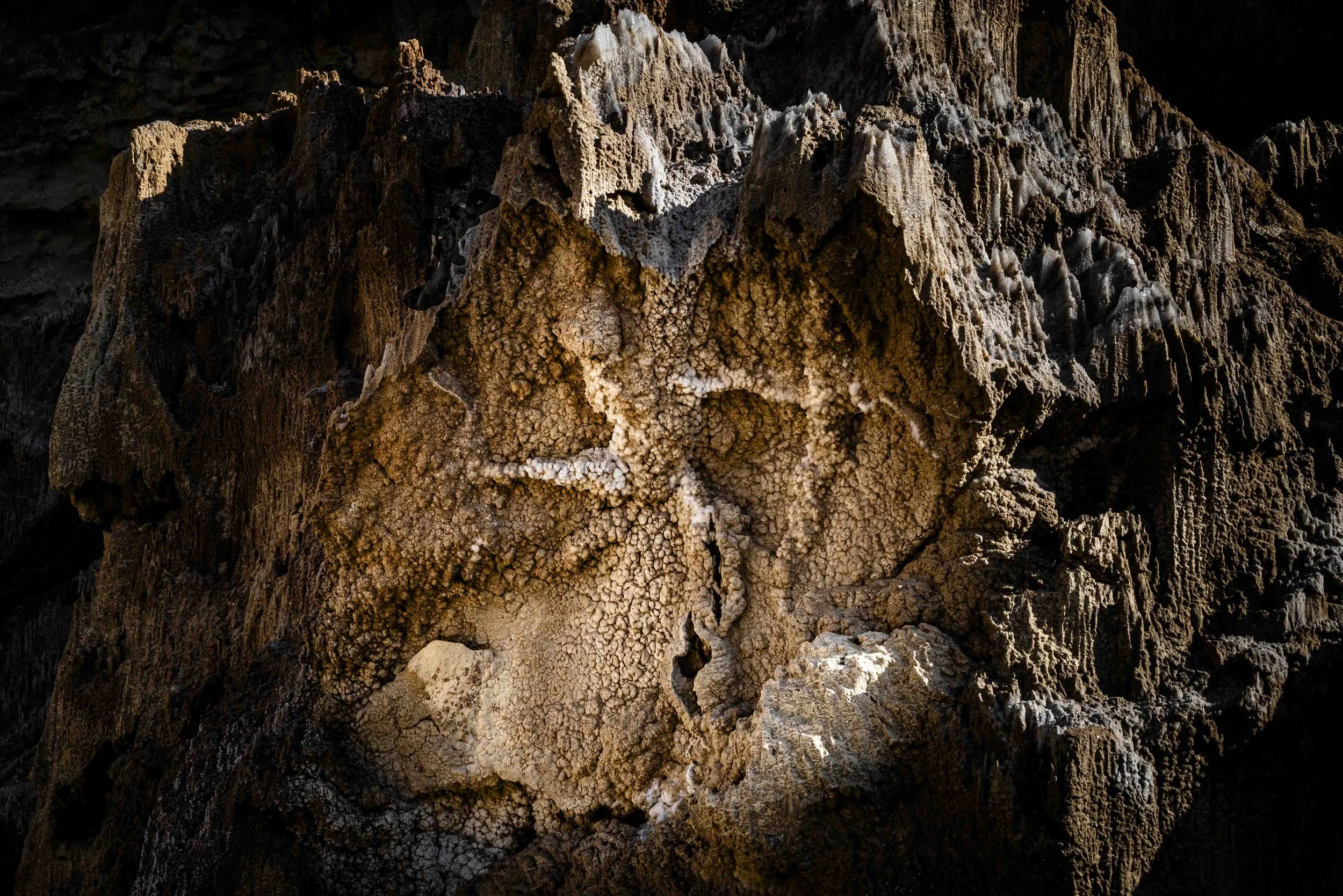 nahal Sodom 2026 hovevei-52801.jpg