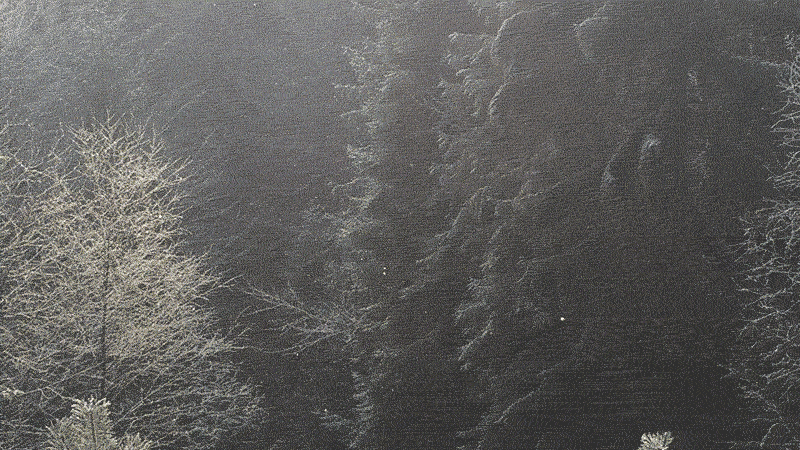 test.gif
